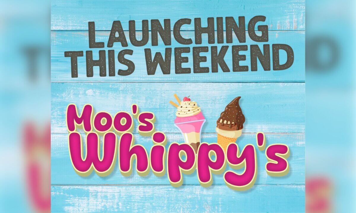 Weekend Rang Grab Your Spoon! Dairyland Farm Park Launches New Ice Cream Range This ...