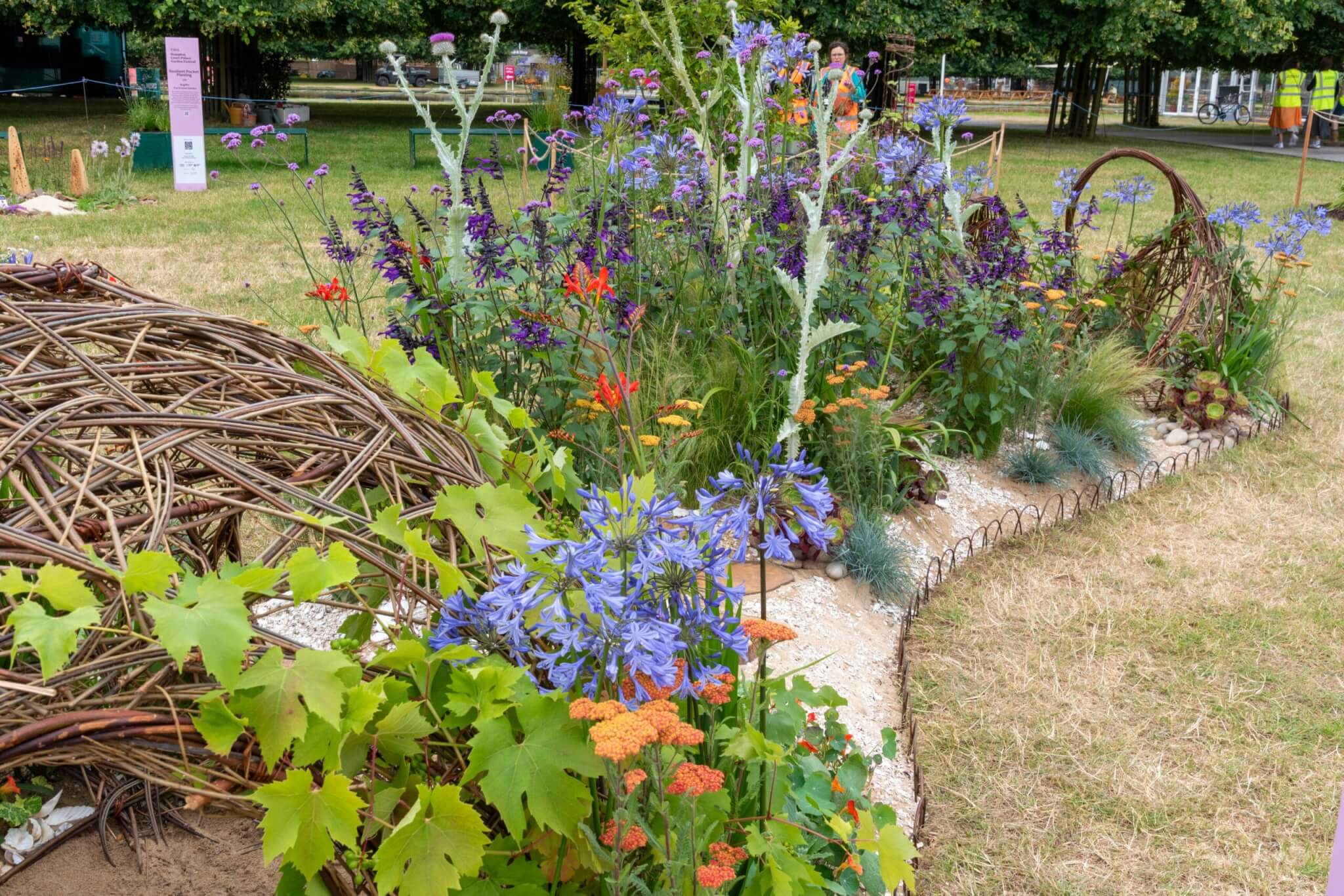 Wild Child Cornwall. Designed by Victoria Jane Cucknell. Sponsored by PACE (Perranzabuloe Action for Climate Emergency) and Slope Stability South West. Resilient Pocket Planting. RHS Hampton Court Palace Garden Festival 2024. Site no. 204