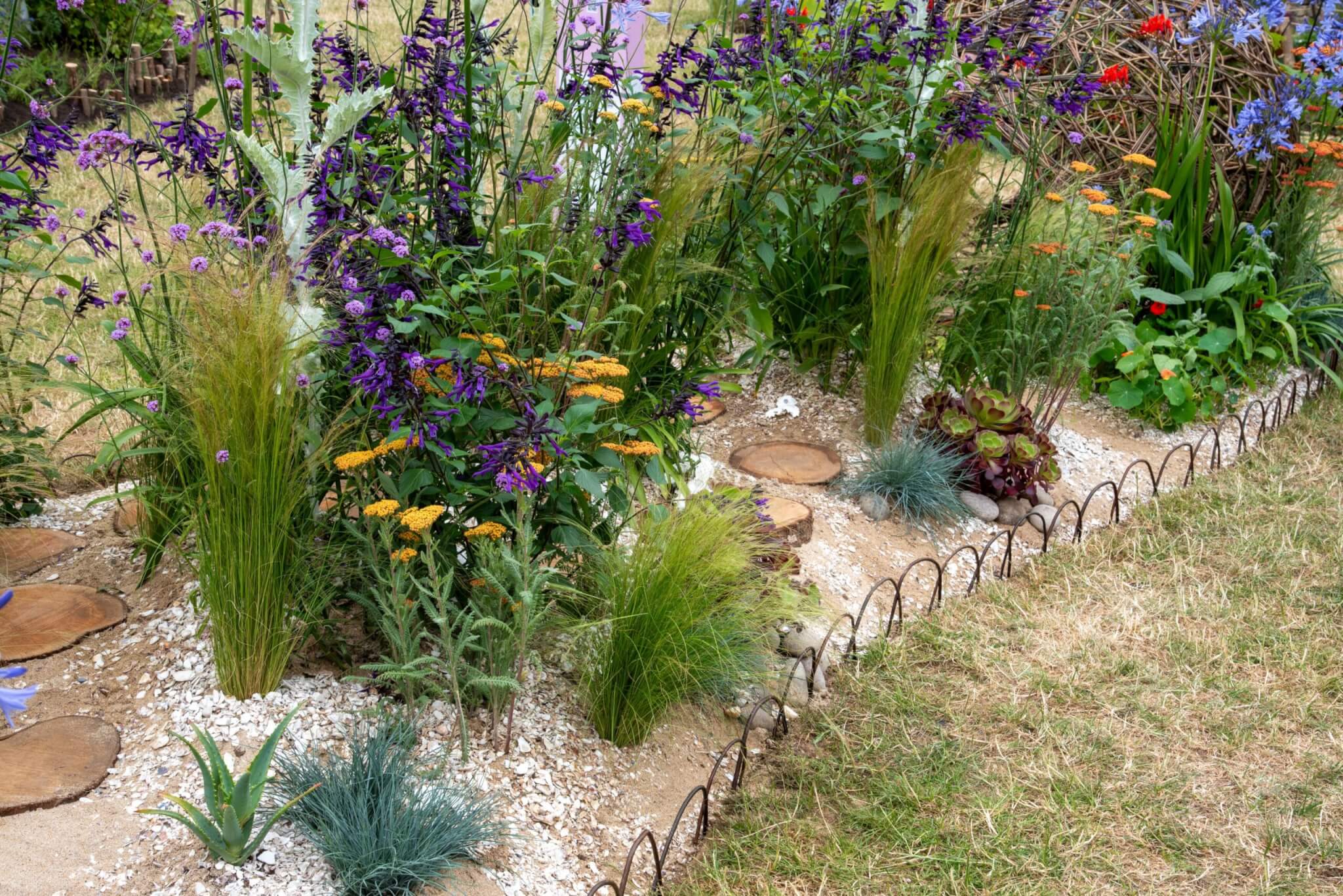 Wild Child Cornwall. Designed by Victoria Jane Cucknell. Sponsored by PACE (Perranzabuloe Action for Climate Emergency) and Slope Stability South West. Resilient Pocket Planting. RHS Hampton Court Palace Garden Festival 2024. Site no. 204