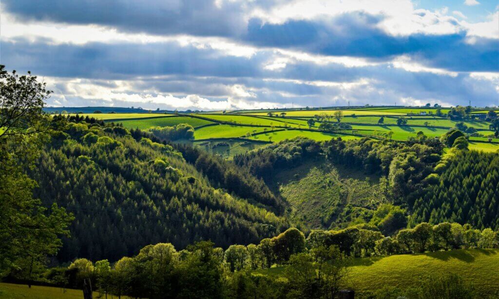Have Your Say on Cornwall’s Nature Recovery Plans Next Week - CornishStuff