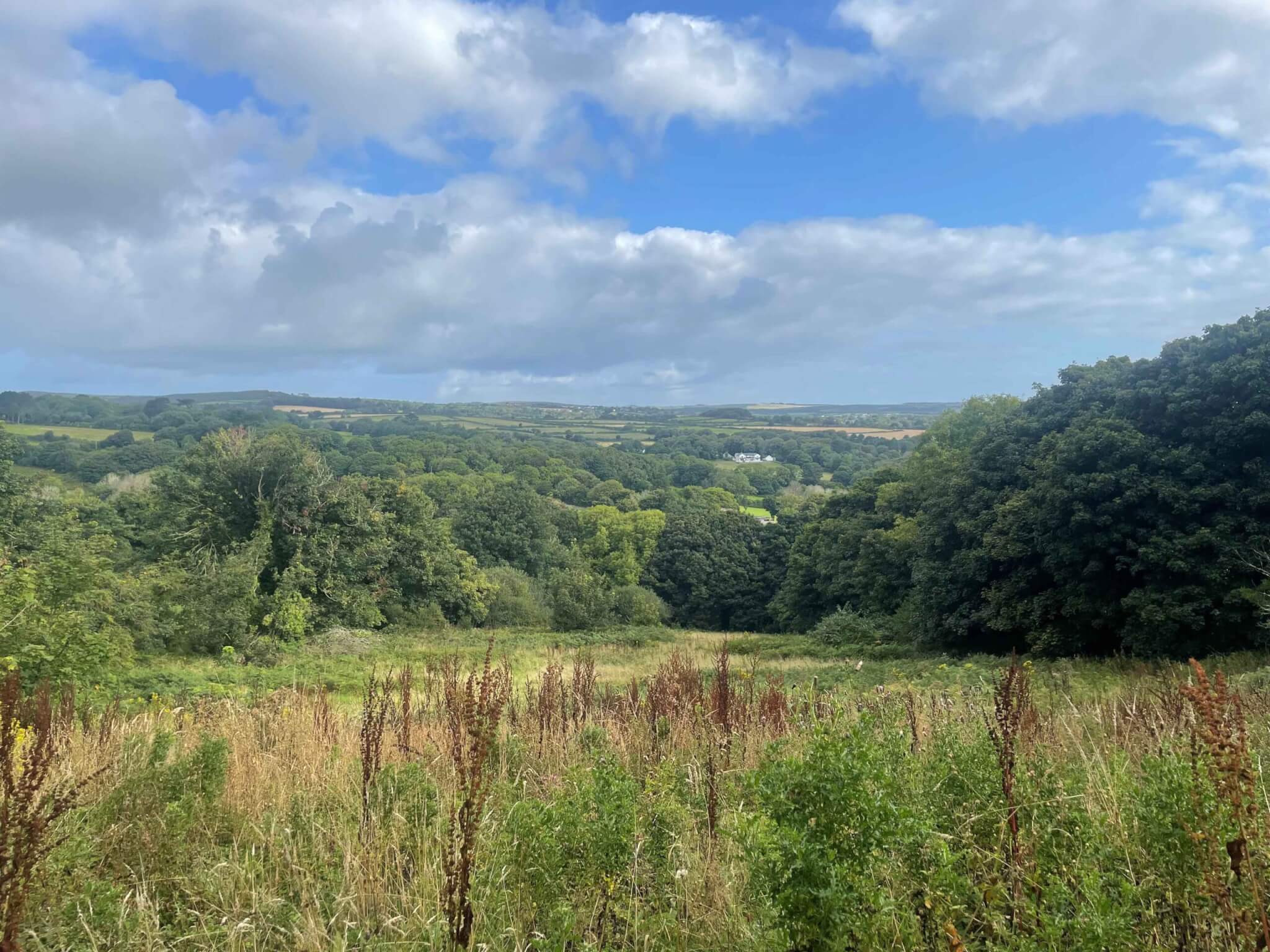 UNDER HAMMER – Land at Tredavoe Farm, Penzance