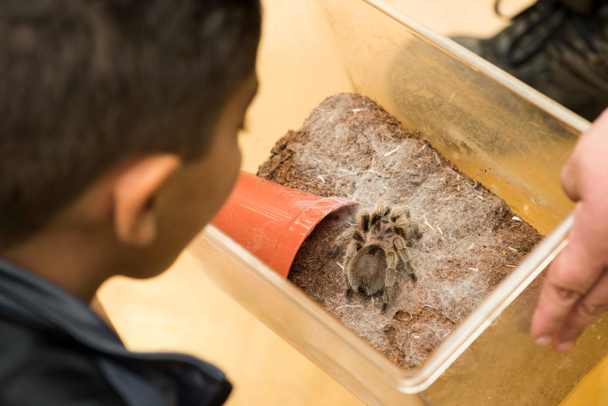 Zoe Mills Photography – ZooLab (27)