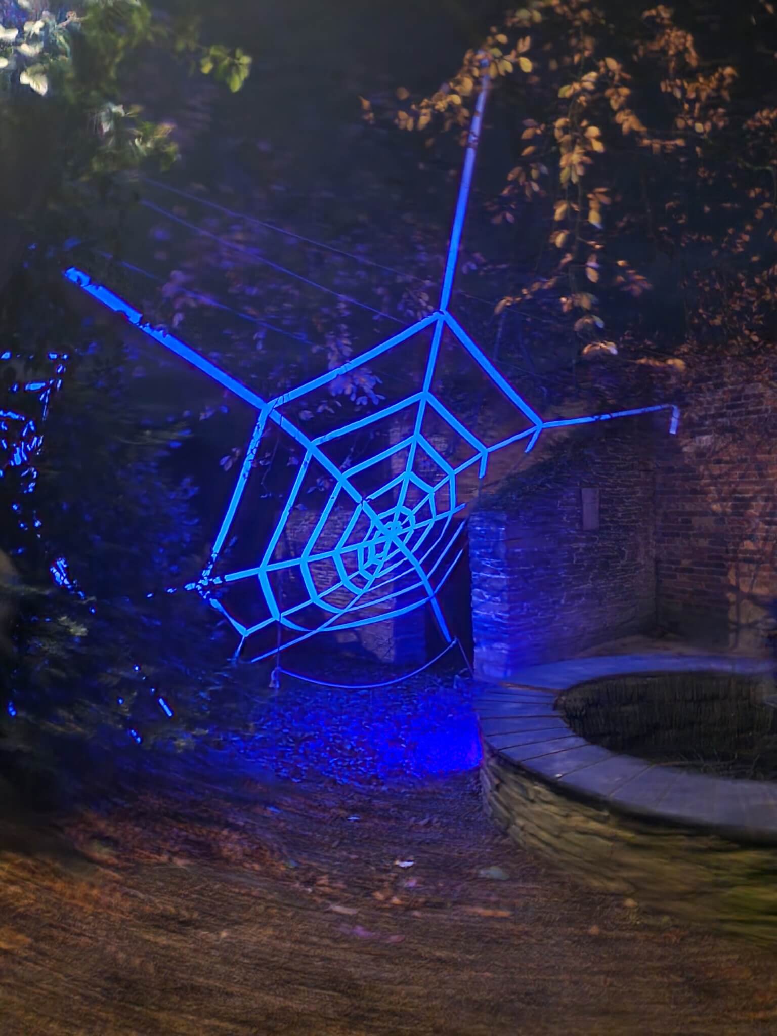 20241114_201702