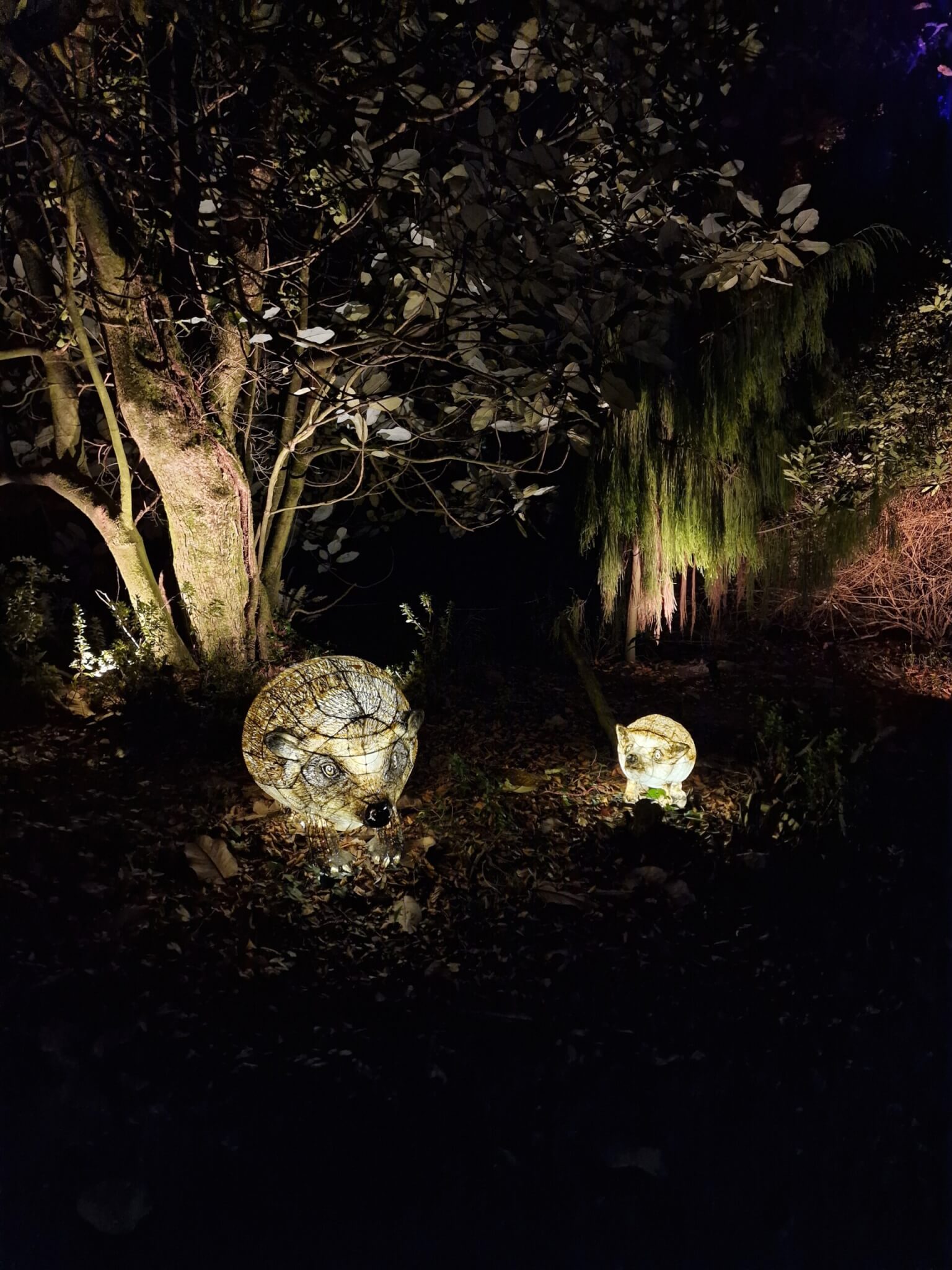 20241114_201933