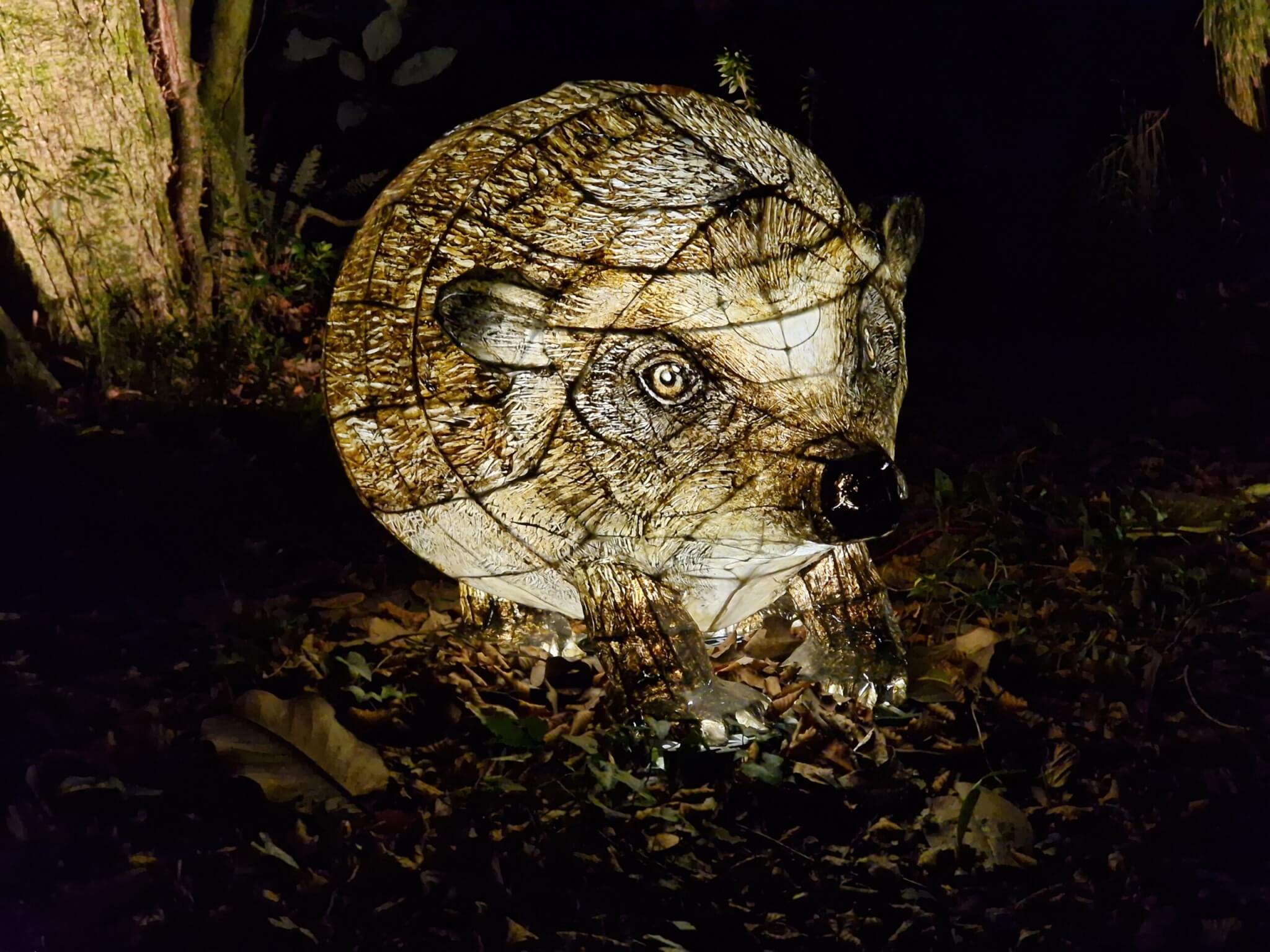 20241114_201943