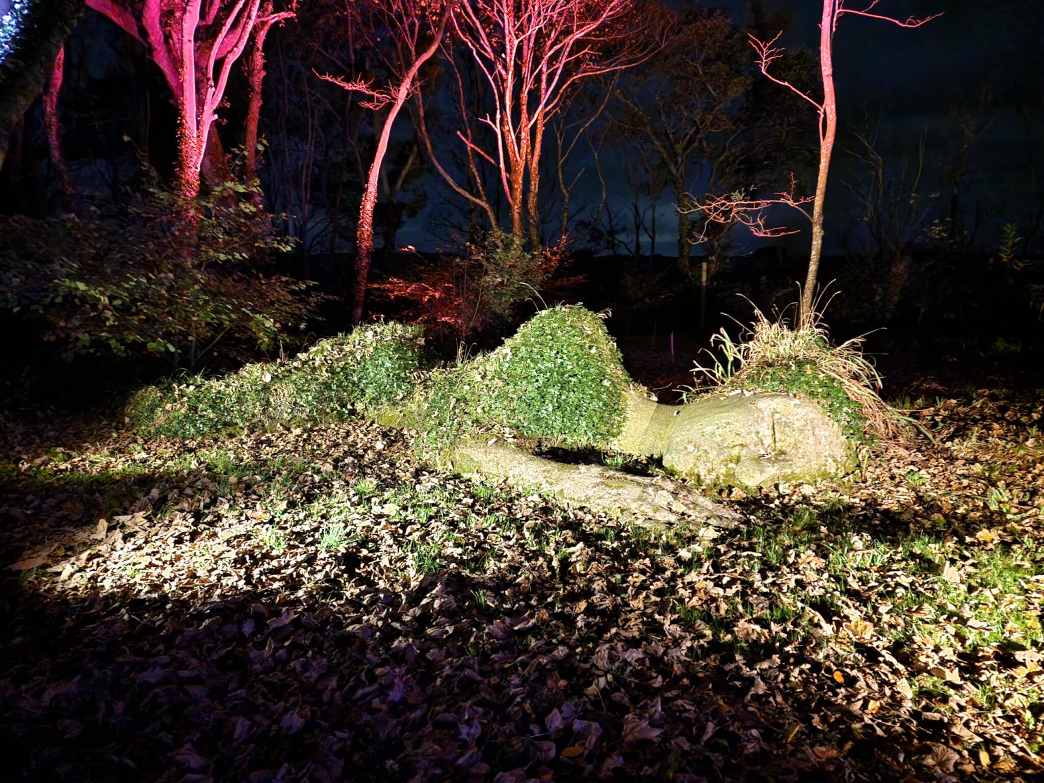 20241114_203742