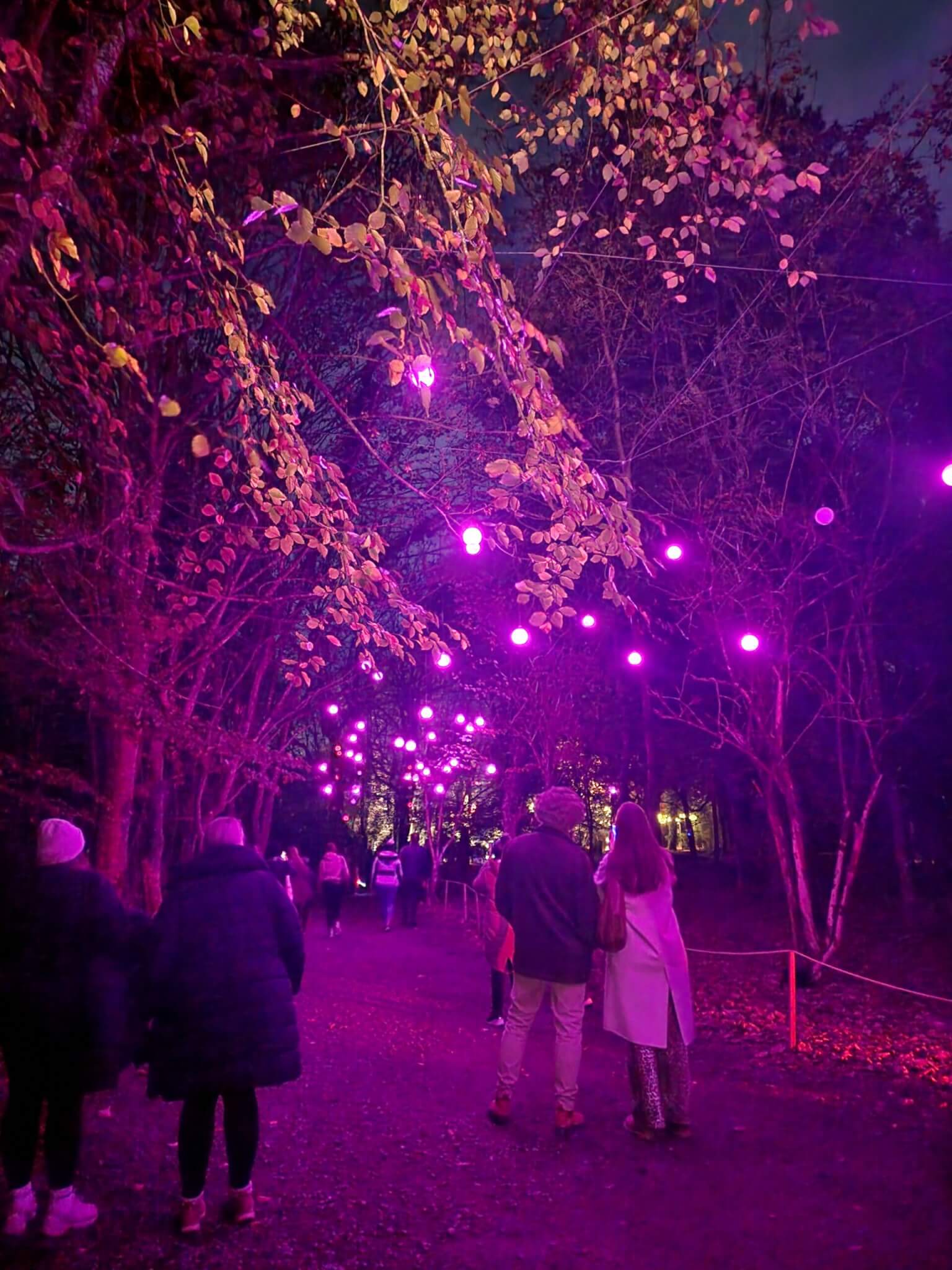 20241114_204134