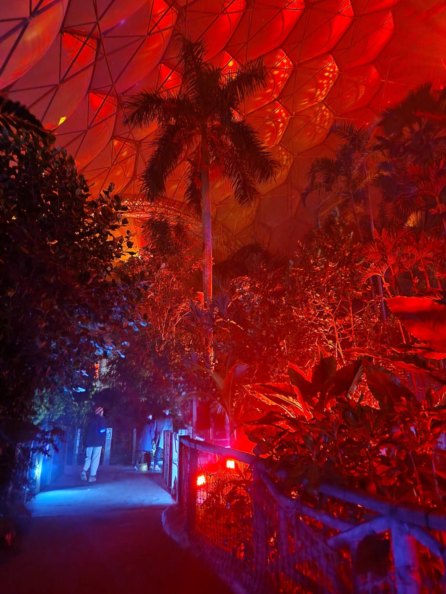 20241121_180353