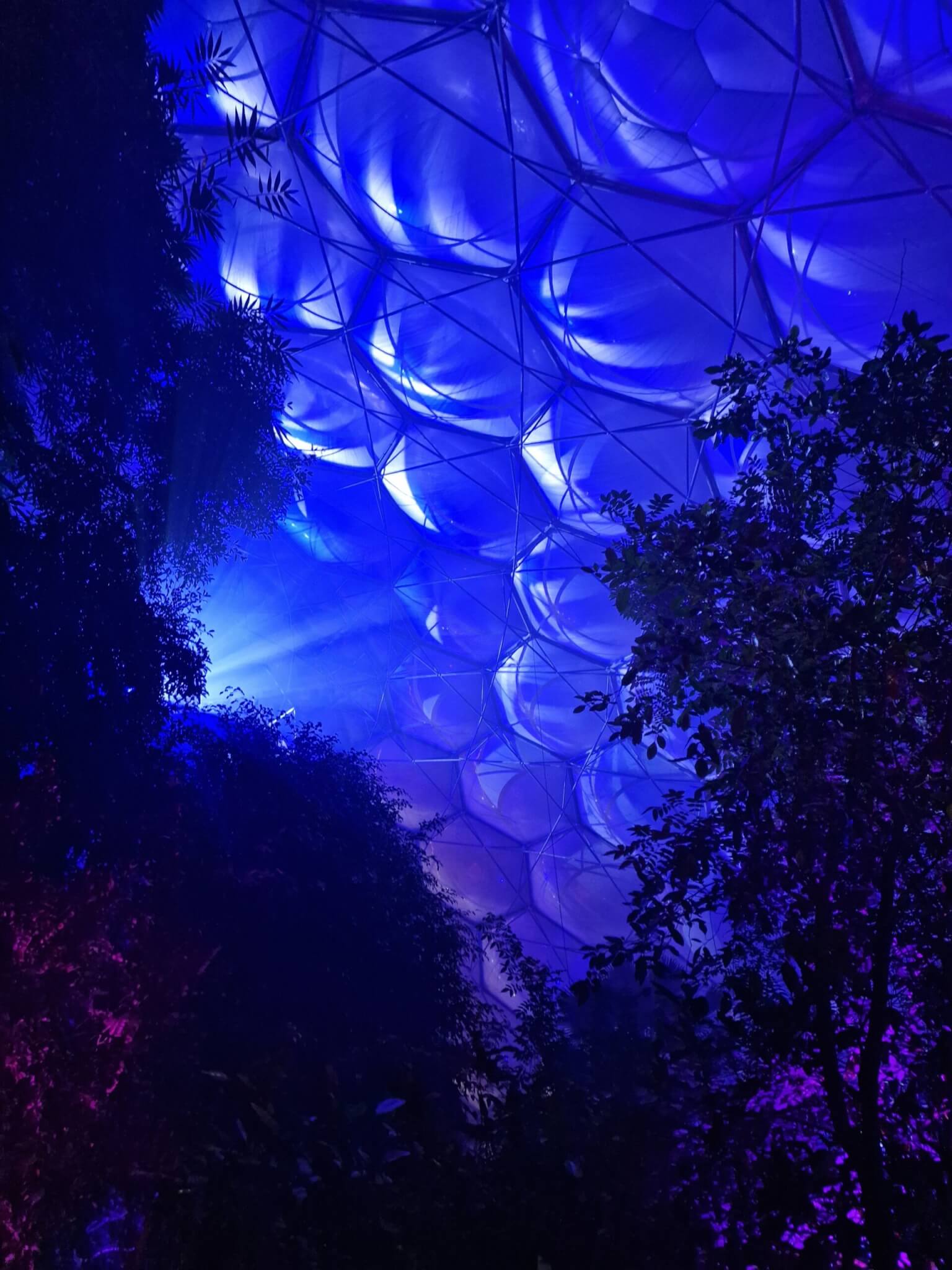 20241121_180820