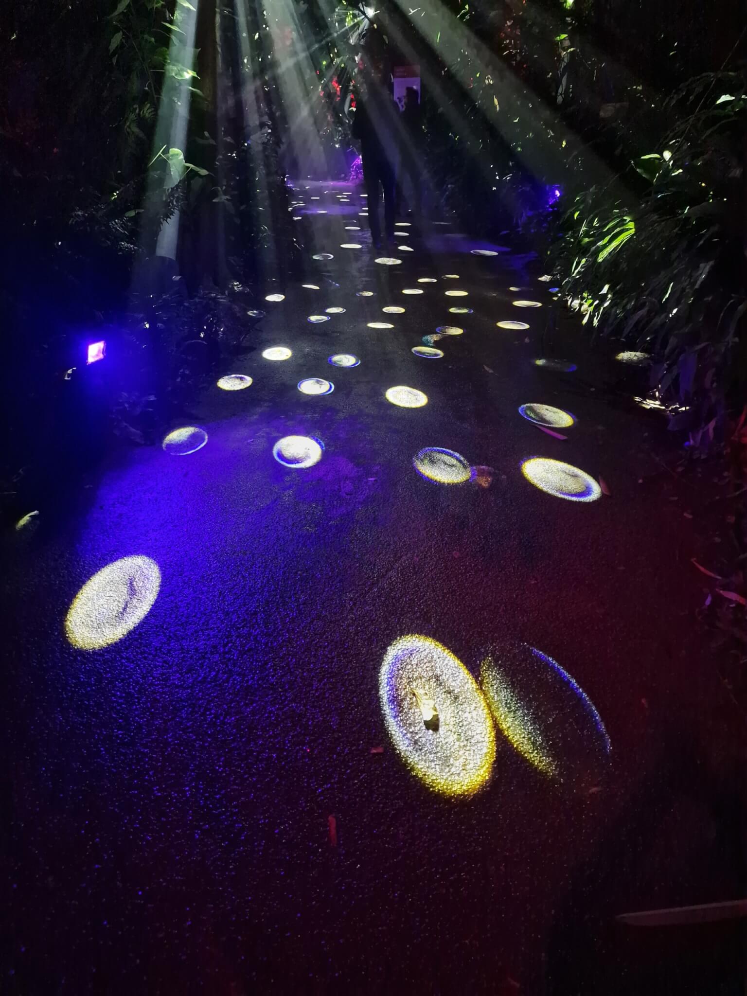 20241121_180949