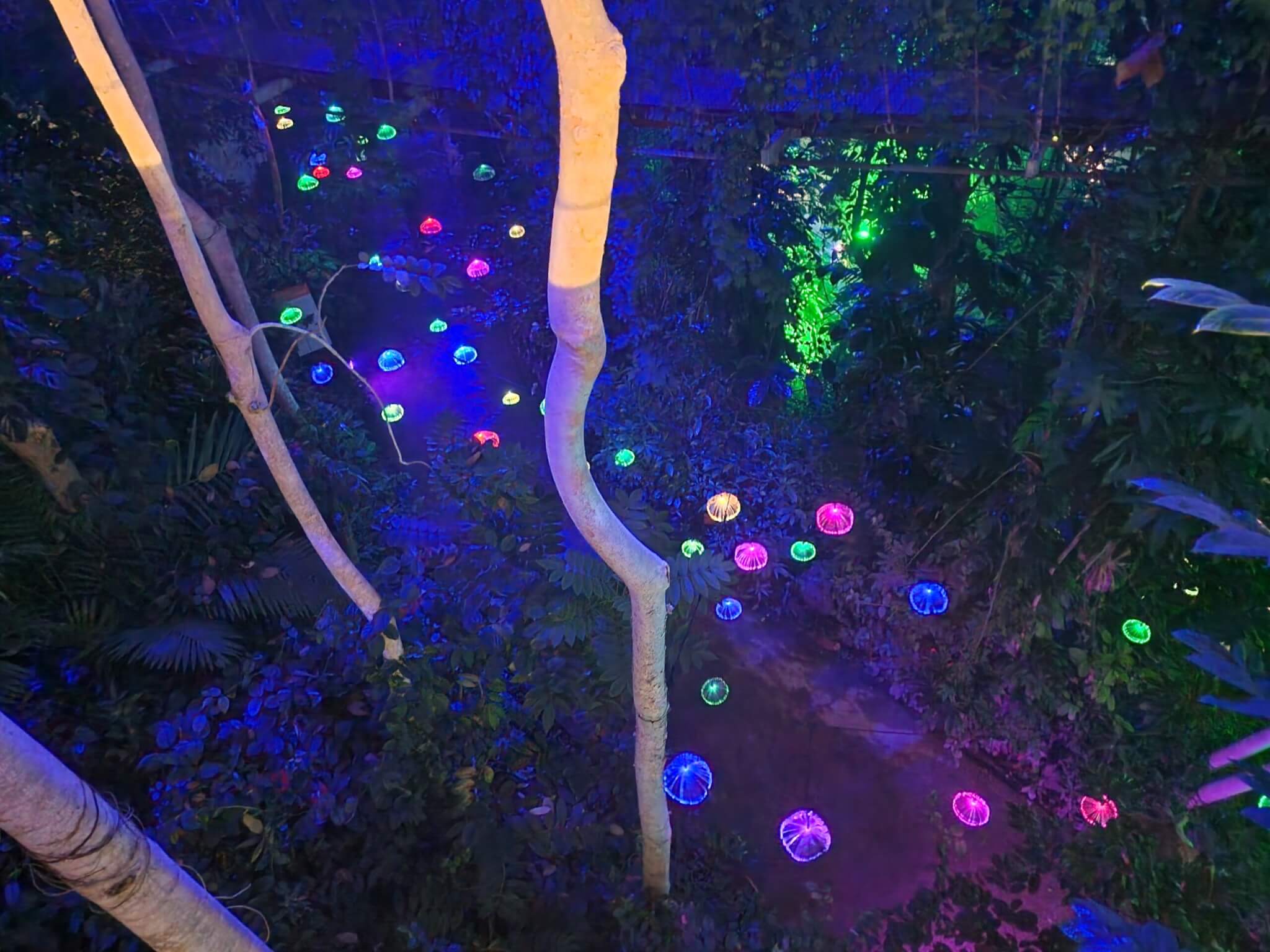 20241121_181532
