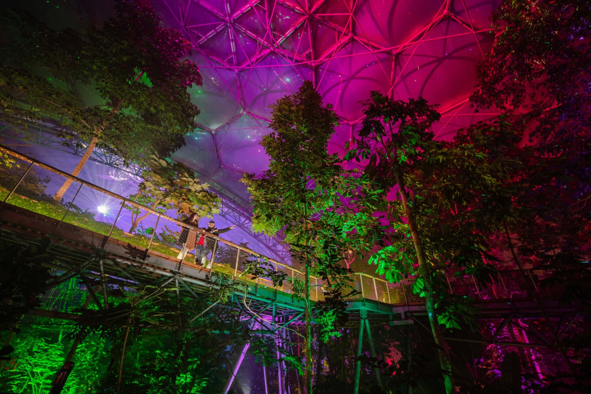 An enchanting Rainforest Biome this Christmas at the Eden Project