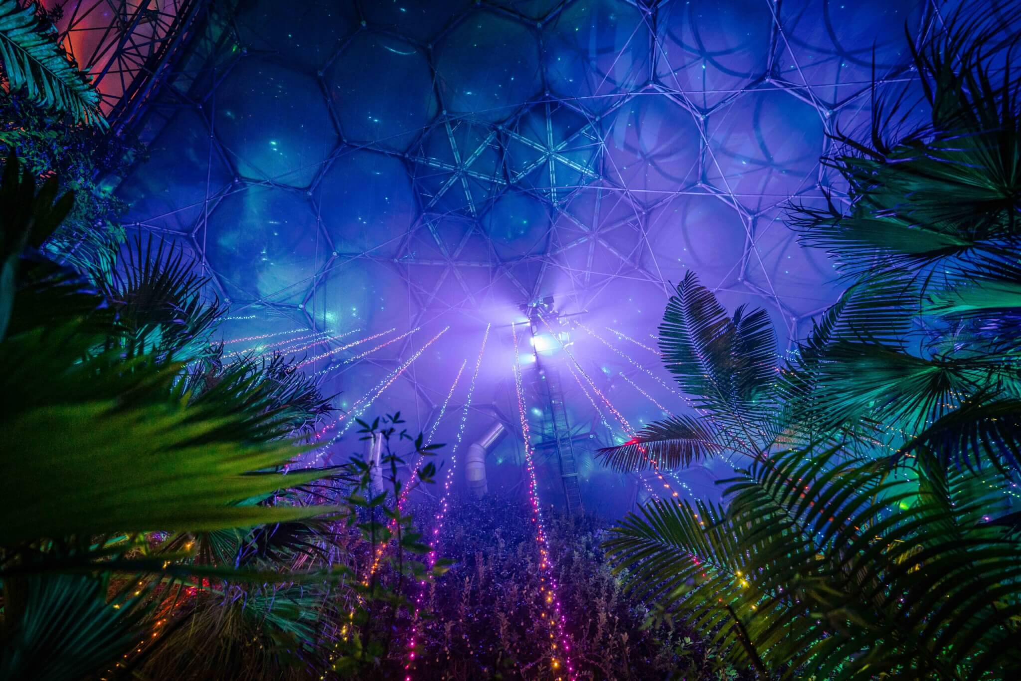 Christmas at the Eden Project – James Street (68)