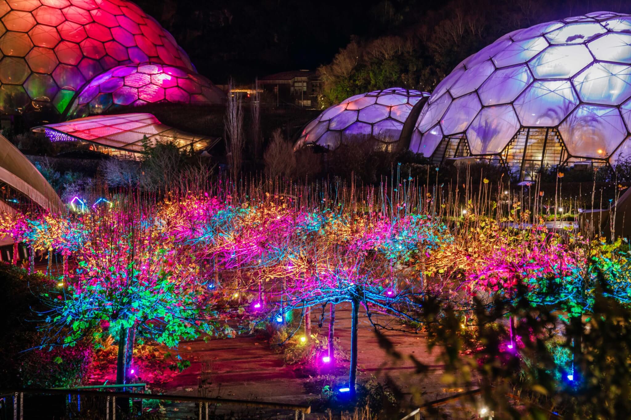 Christmas has arrived at the Eden Project
