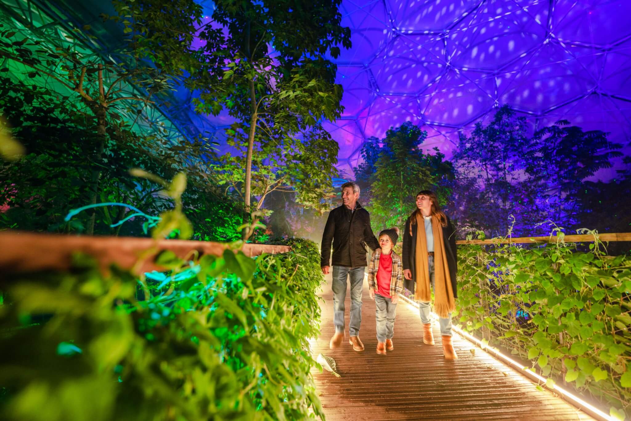 Christmas has arrived to the Rainforest Biome at the Eden Project