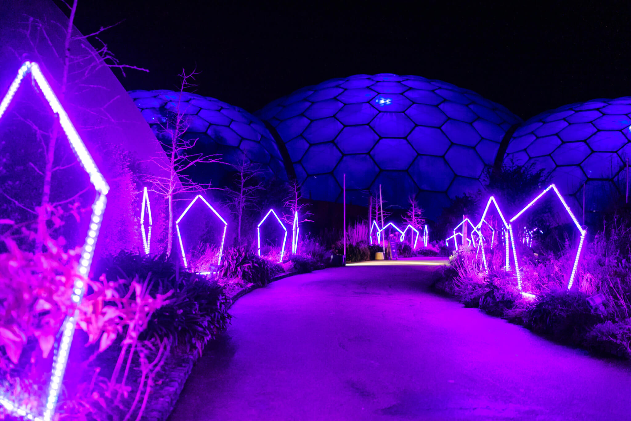 Dazzling Christmas light trails at the Eden Project