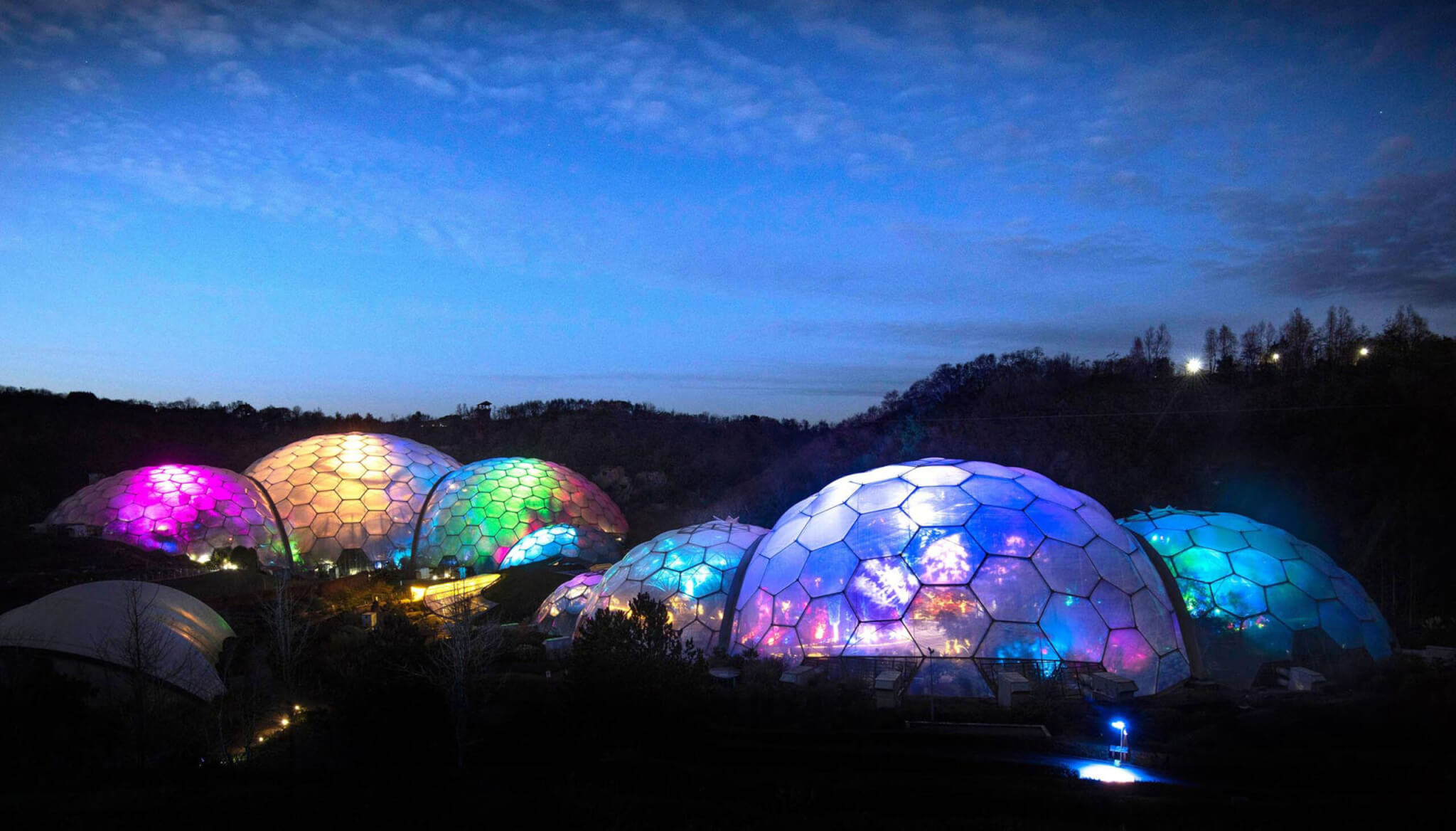 Eden_Christmas_lights_02_300dpi