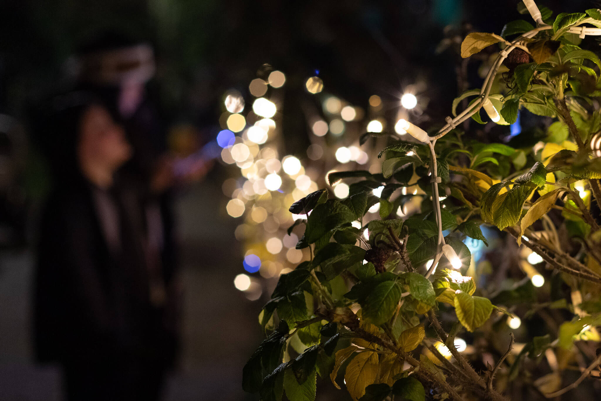 Trenace-lantern-parade-24-lowres-5137