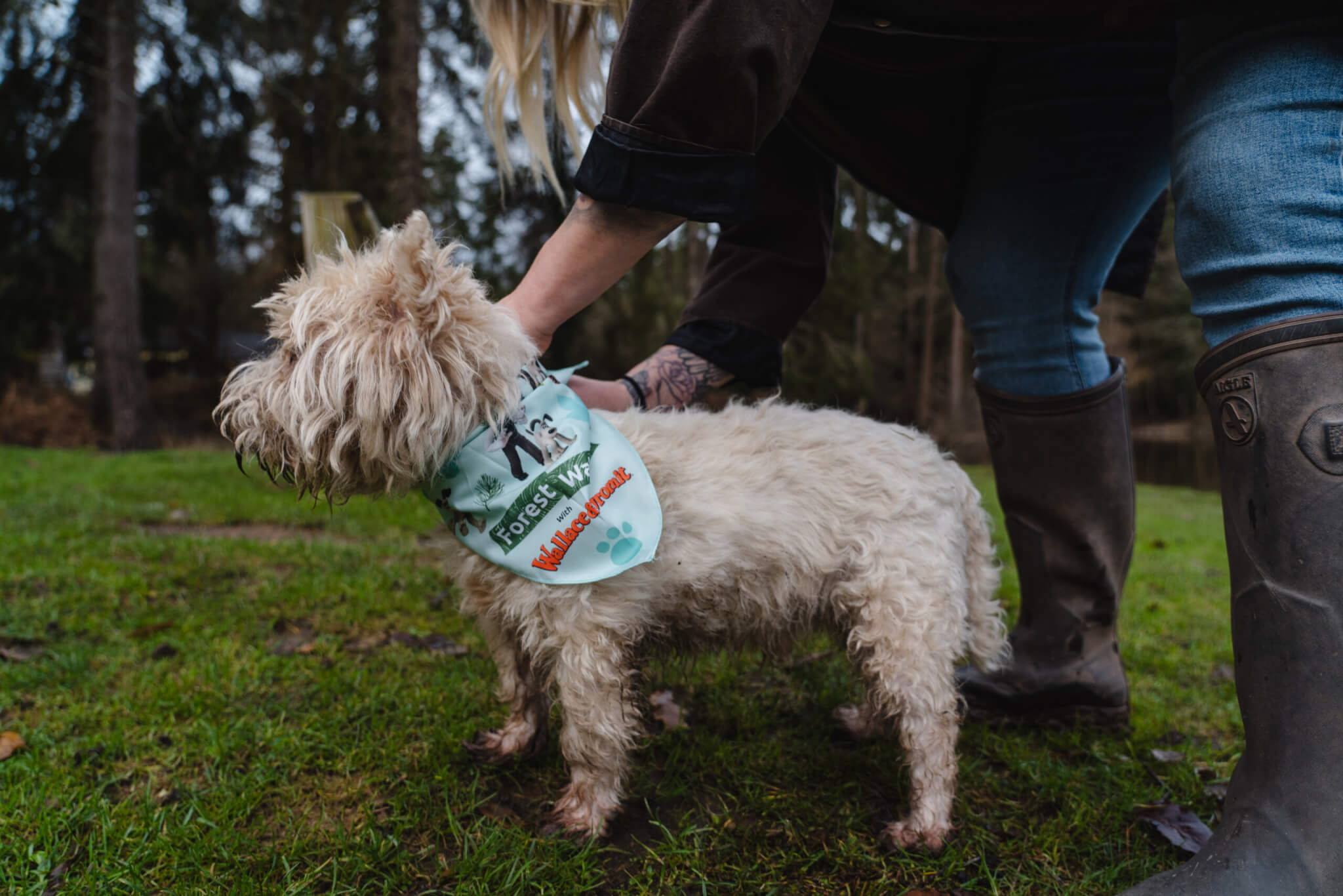 A dog wearing a Forest Walkies bandana (credit Forestry England – Crown Copyright)