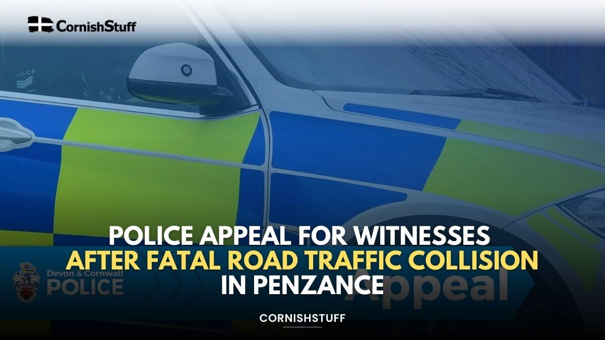 Police Appeal for Witnesses After Fatal Road Traffic Collision in ...