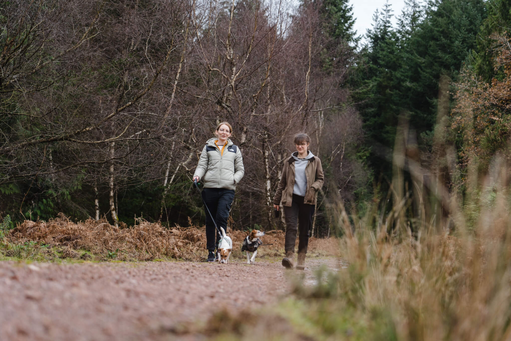 Two dog owners walk and chat in the forest (credit Forestry England – Crown Copyright)