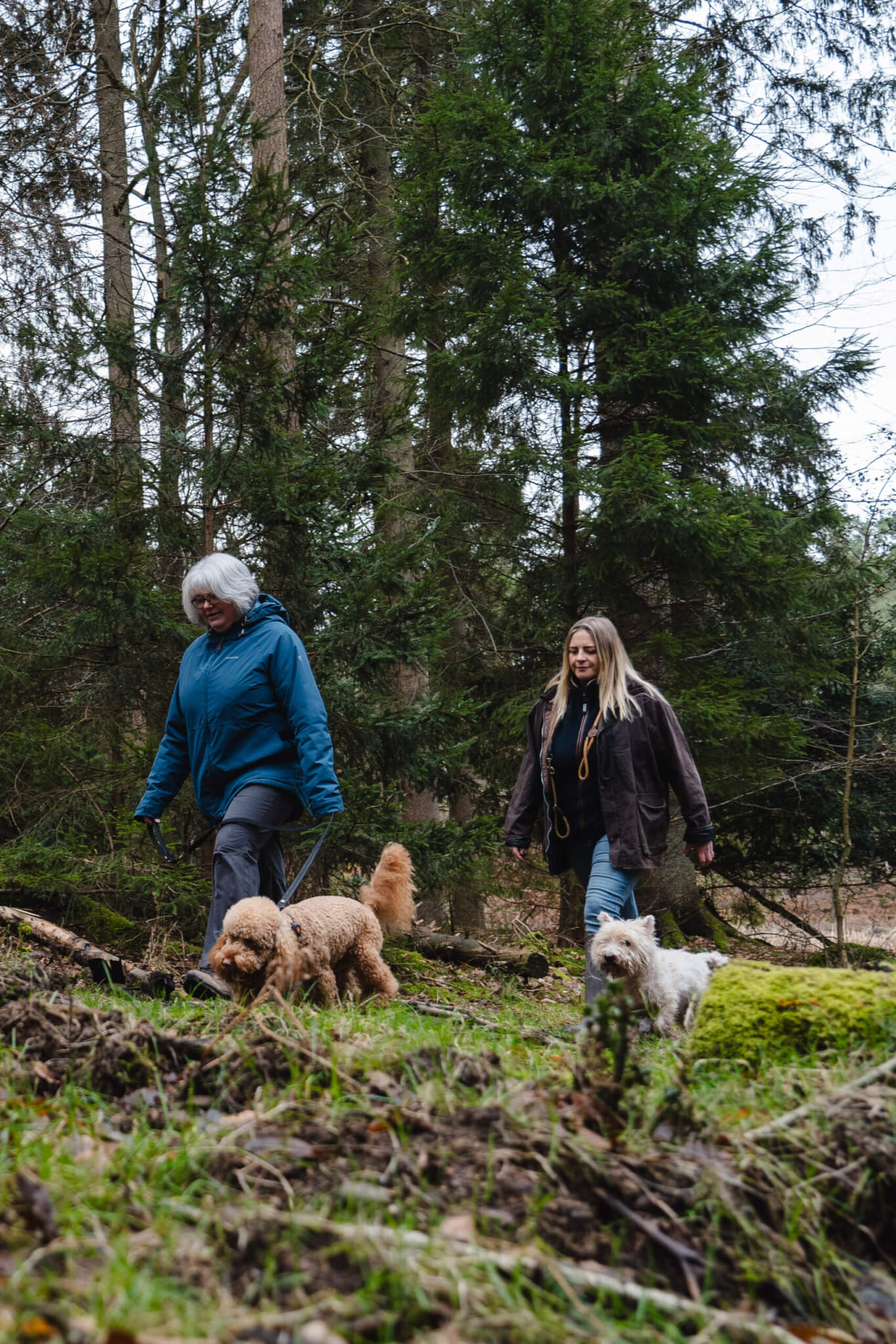 Two walkers and their dogs in the forest (credit Forestry England – Crown Copyright)
