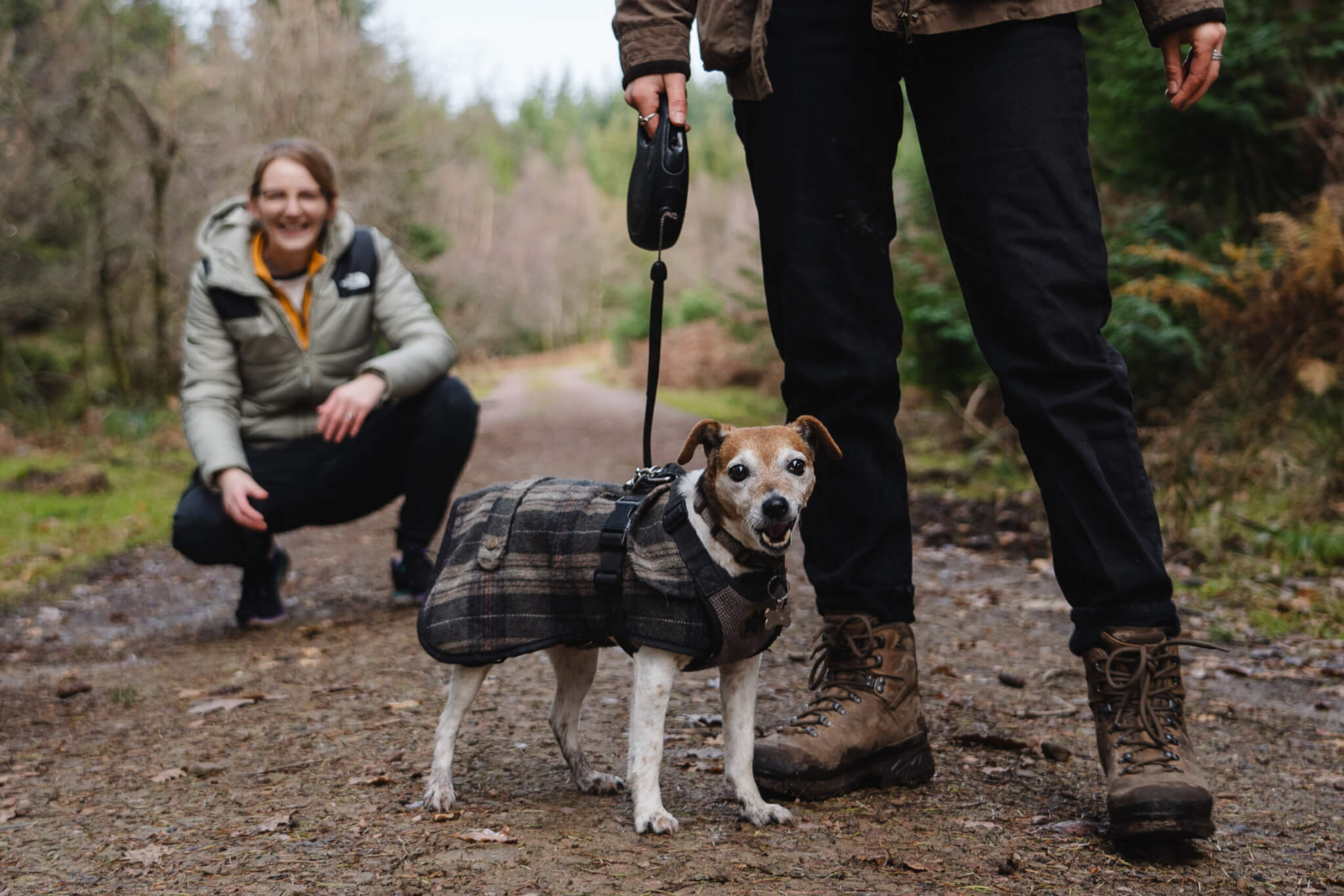 Two walkers in the forest with a small dog wearing a tartan coat (credit Forestry England – Crown Copyright)