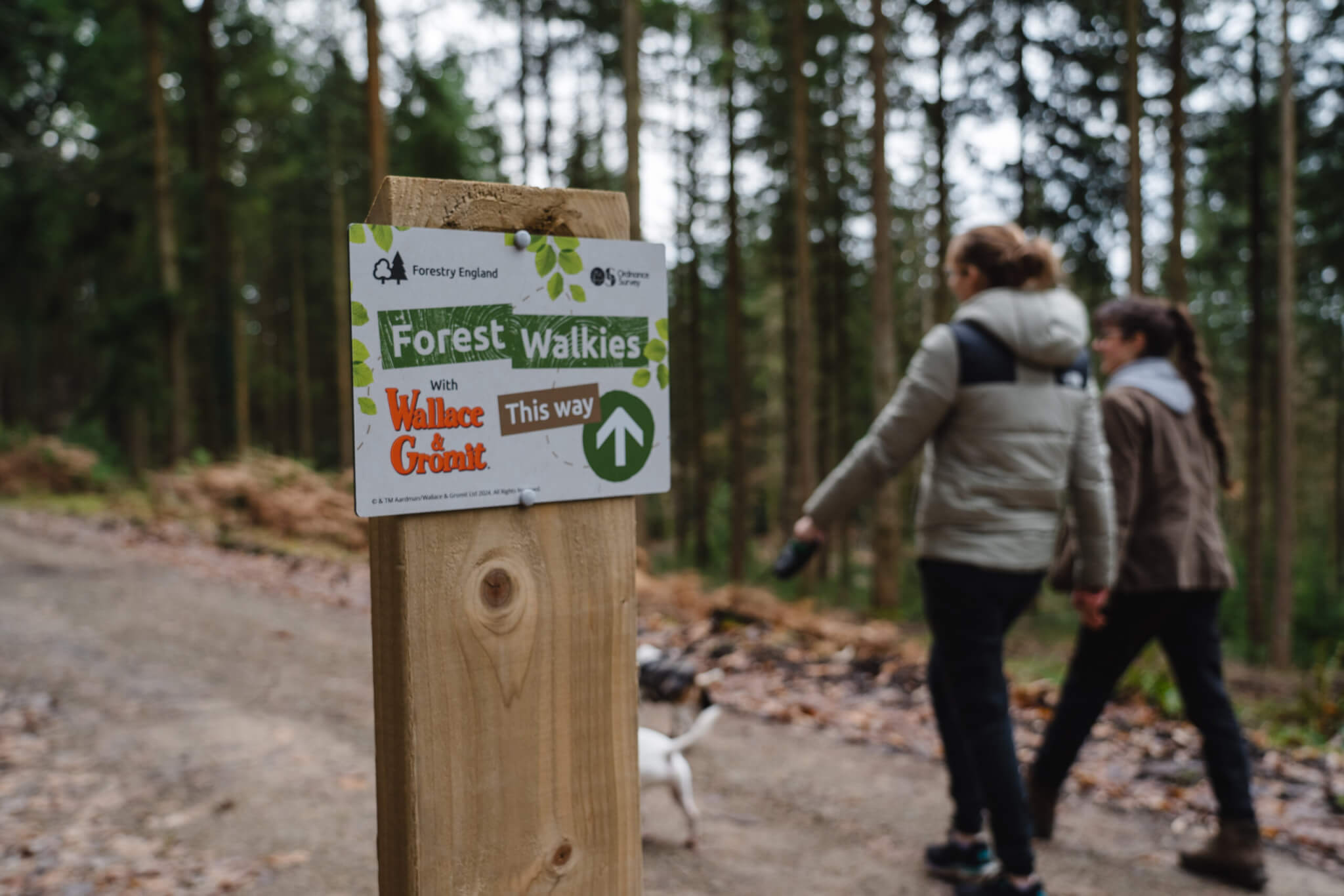Two walkers pass a Forest Walkies trail sign in the forest (credit Forestry England – Crown Copyright)