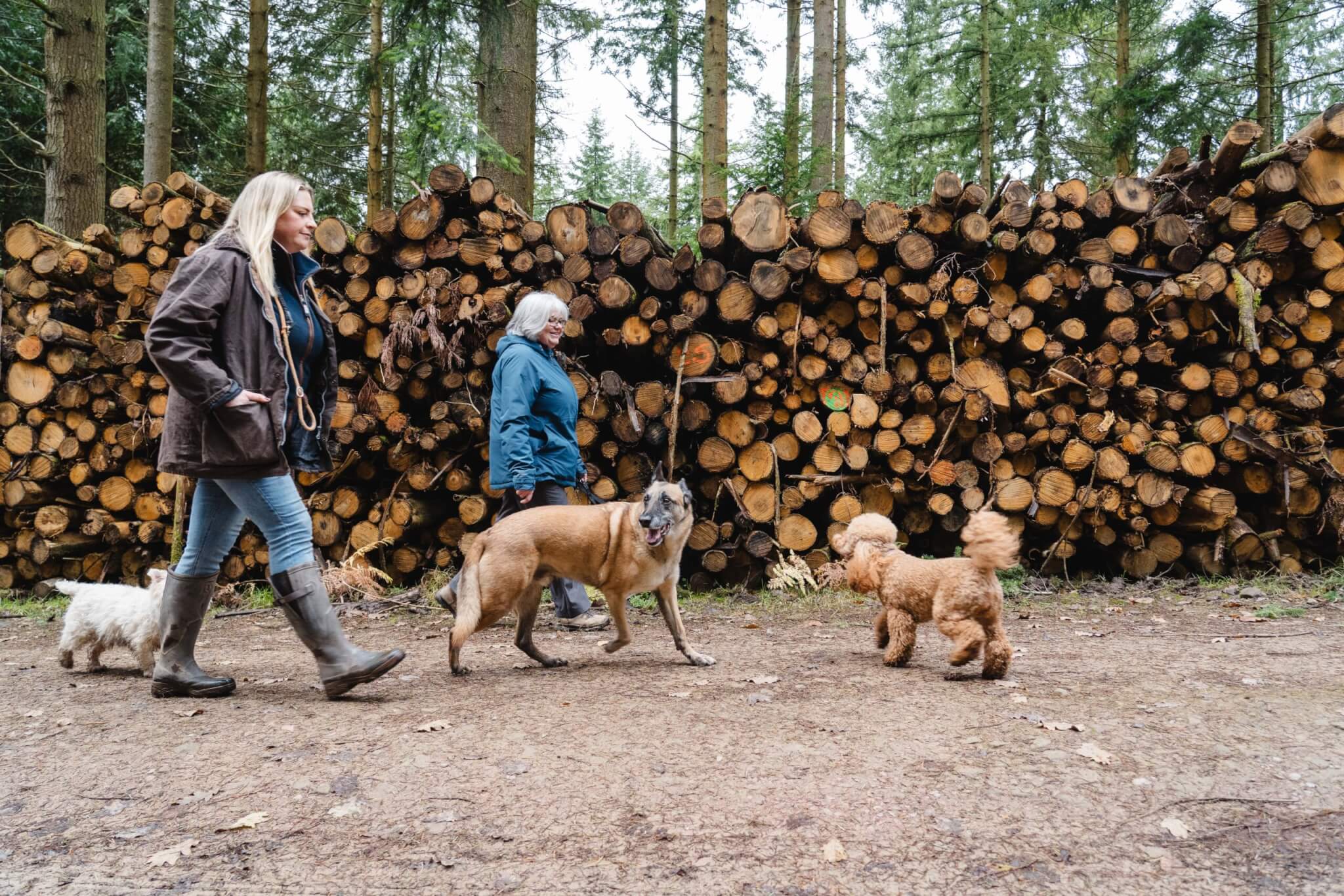 Two walkers with their dogs close by in the forest (credit Forestry England – Crown Copyright)