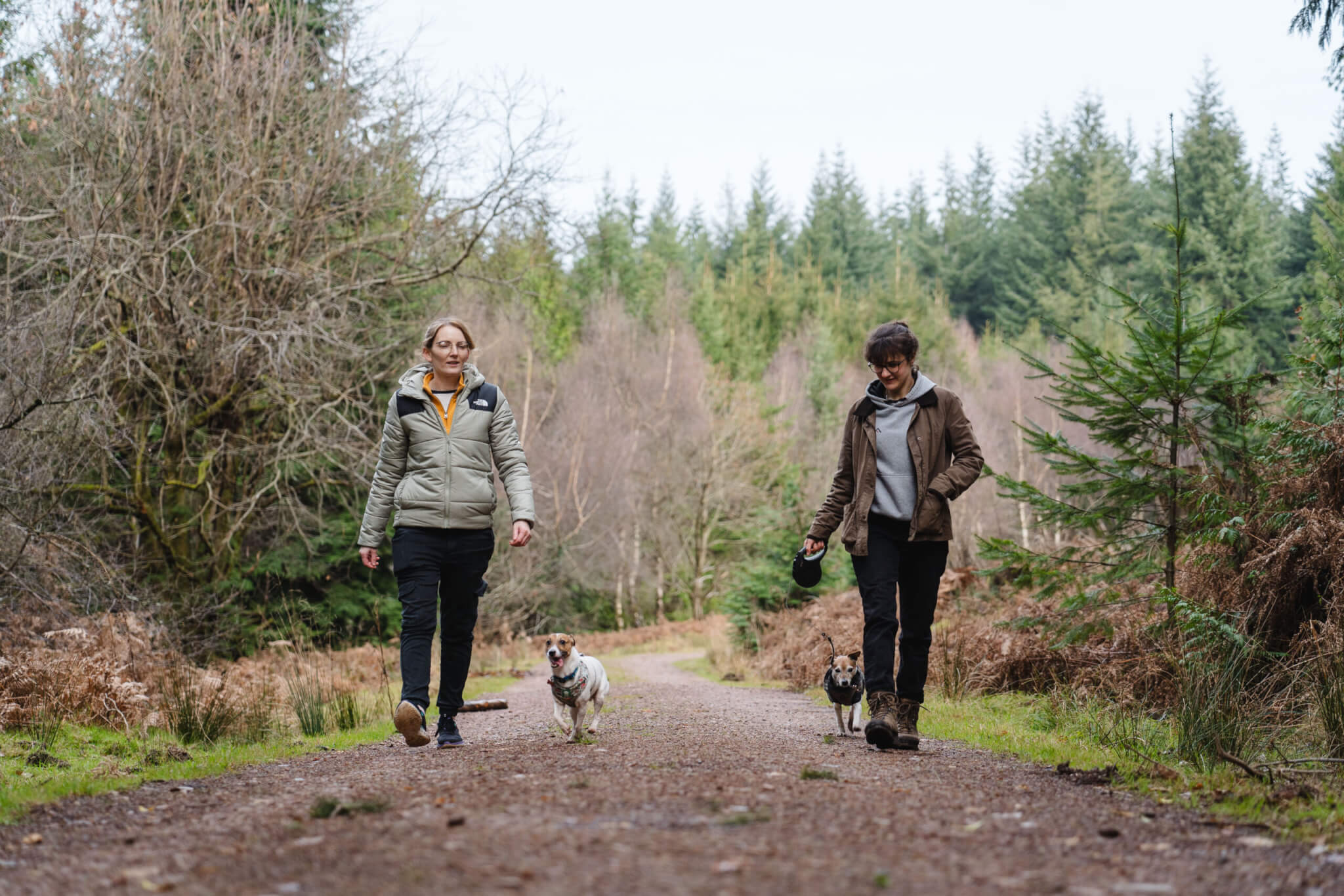 Two walkers with their dogs on a forest road (credit Forestry England – Crown Copyright)