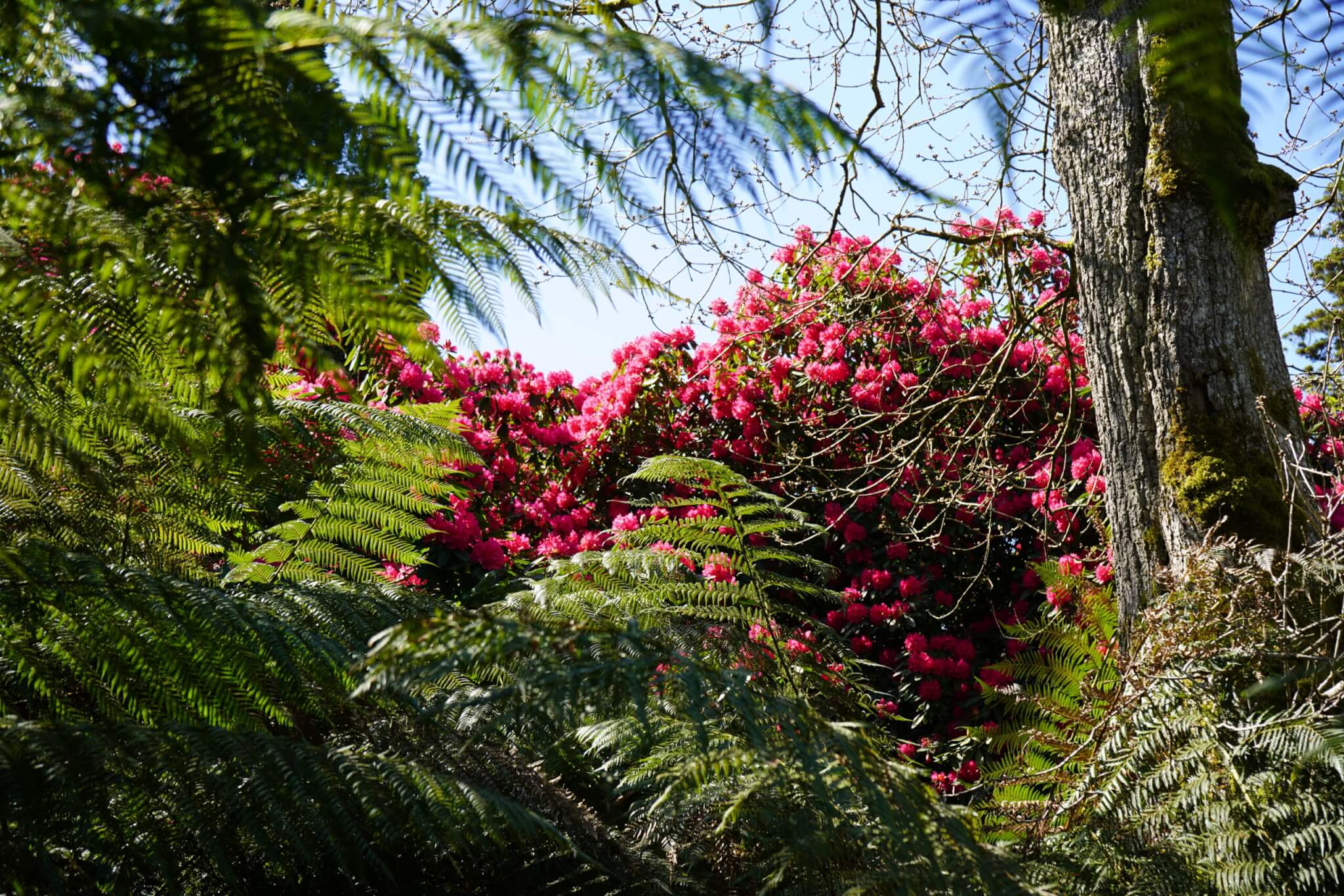DSC04066