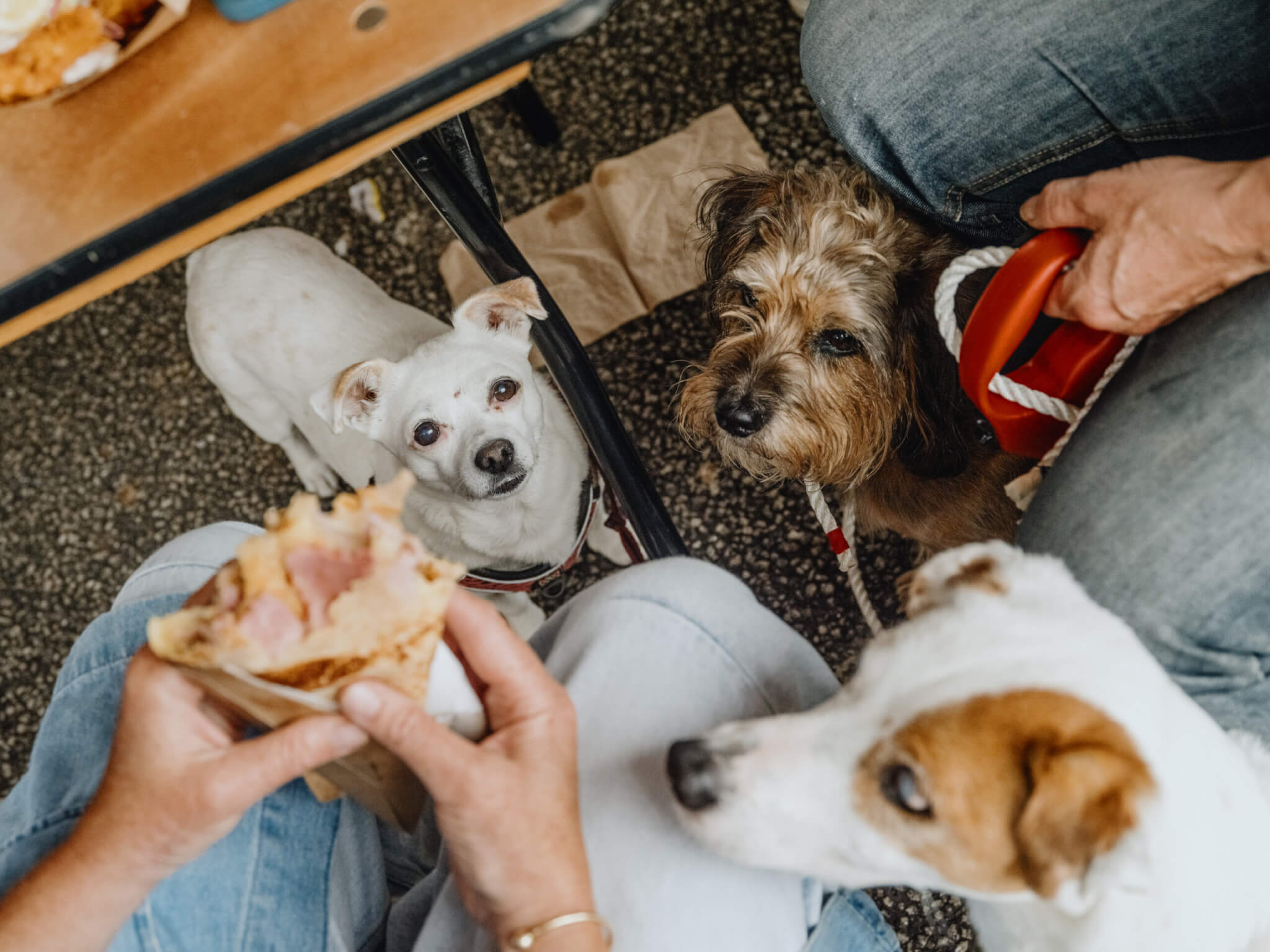 Falmouth Food Festival 2024 by Jenna Foxton