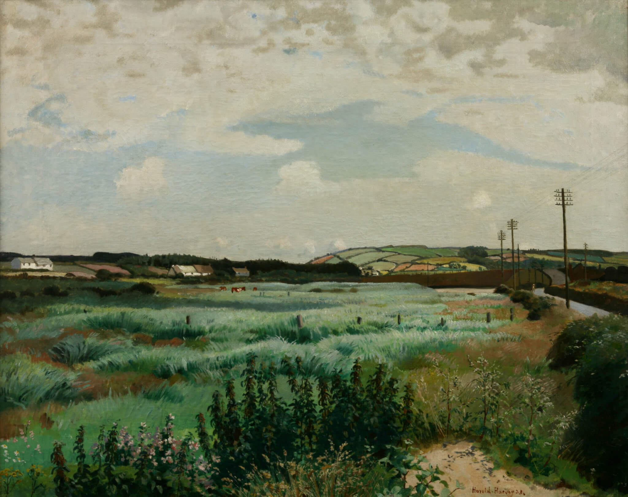Harvey, Harold – Marazion Marshes