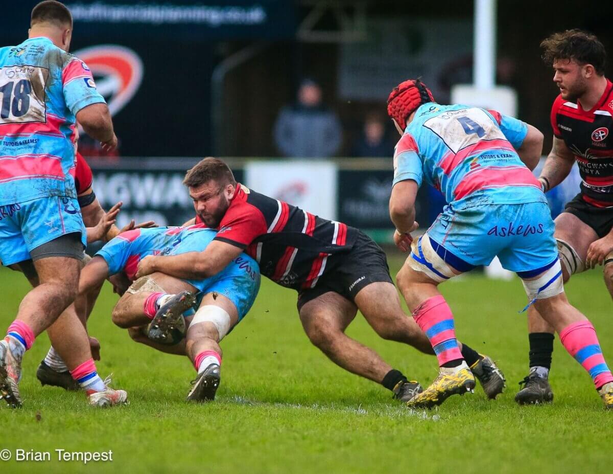 They’re Not Going Anywhere: Cornish Pirates Secure Billy & Buster for ...