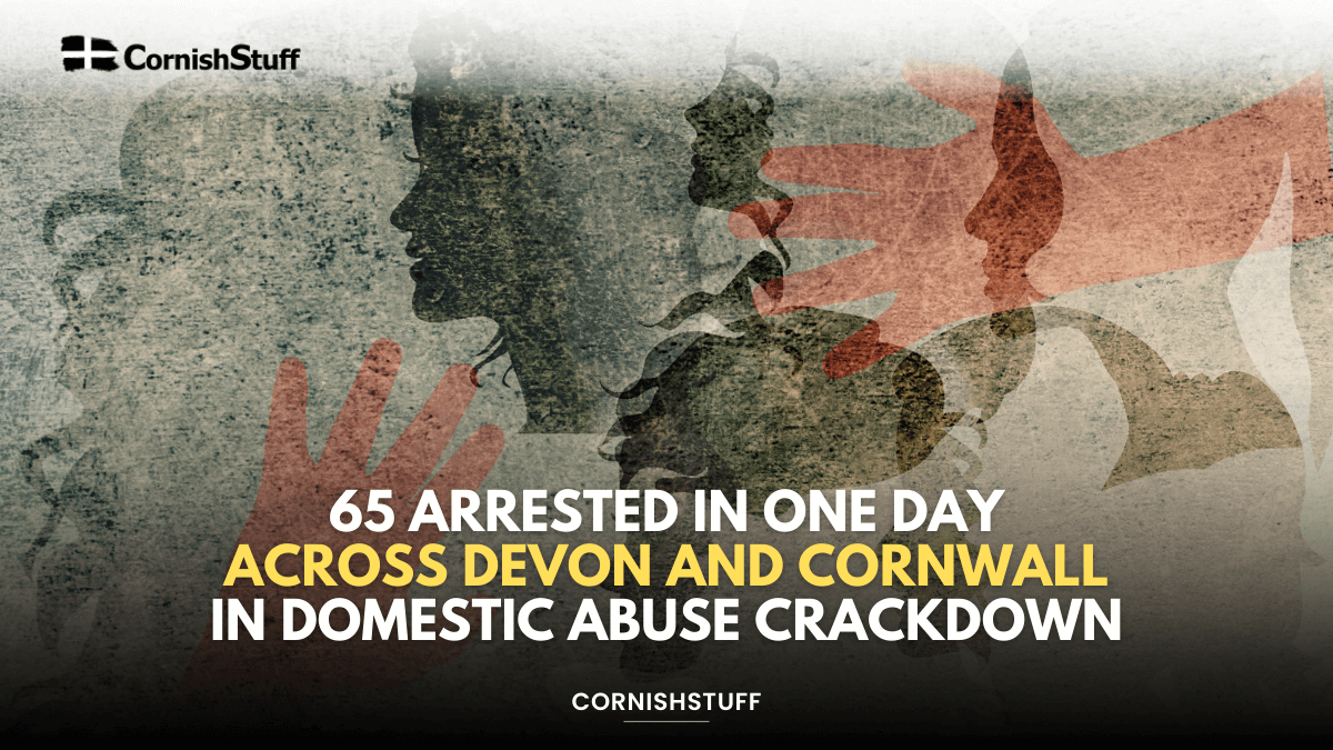 65 Arrested in One Day Across Devon and Cornwall in Domestic Abuse ...