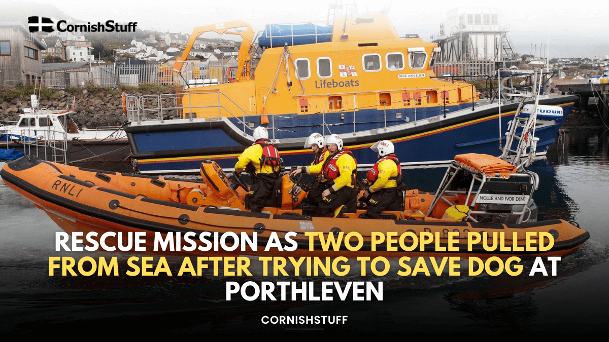 Scan Rescue Mission Rescue Mission as Two People Pulled from Sea After Trying to Save Dog ...