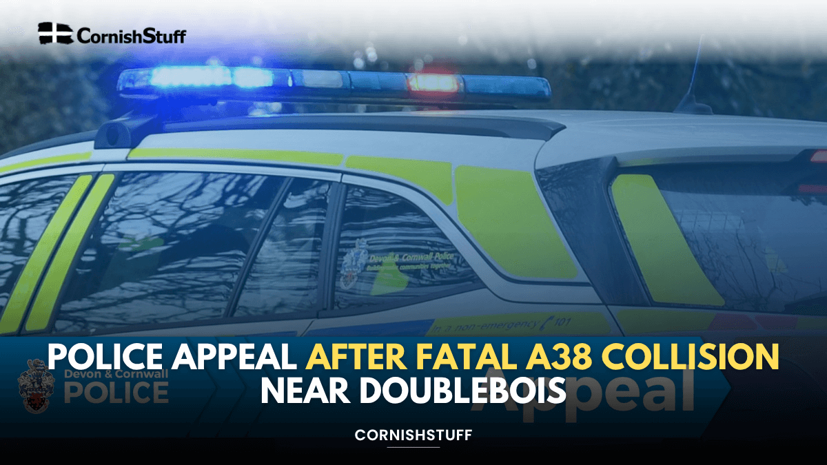 Police Appeal After Fatal A38 Collision Near Doublebois - CornishStuff