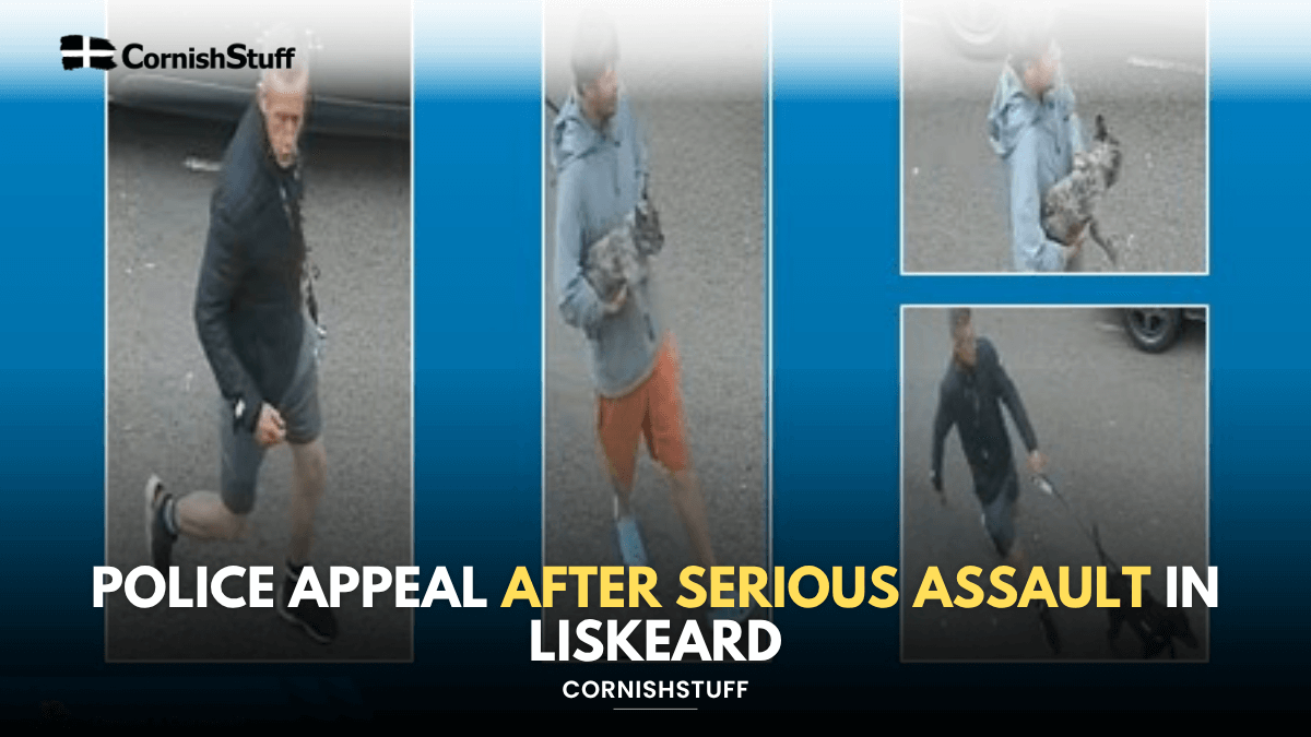 Police Appeal After Serious Assault in Liskeard - CornishStuff