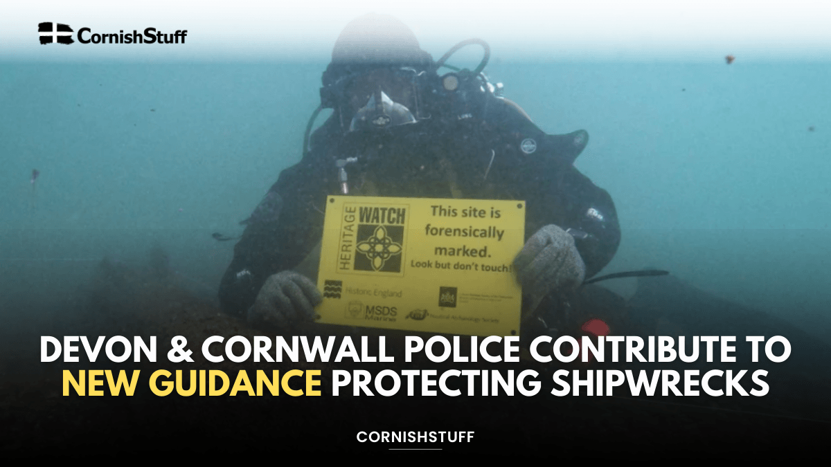 Devon & Cornwall Police Contribute to New Guidance Protecting ...