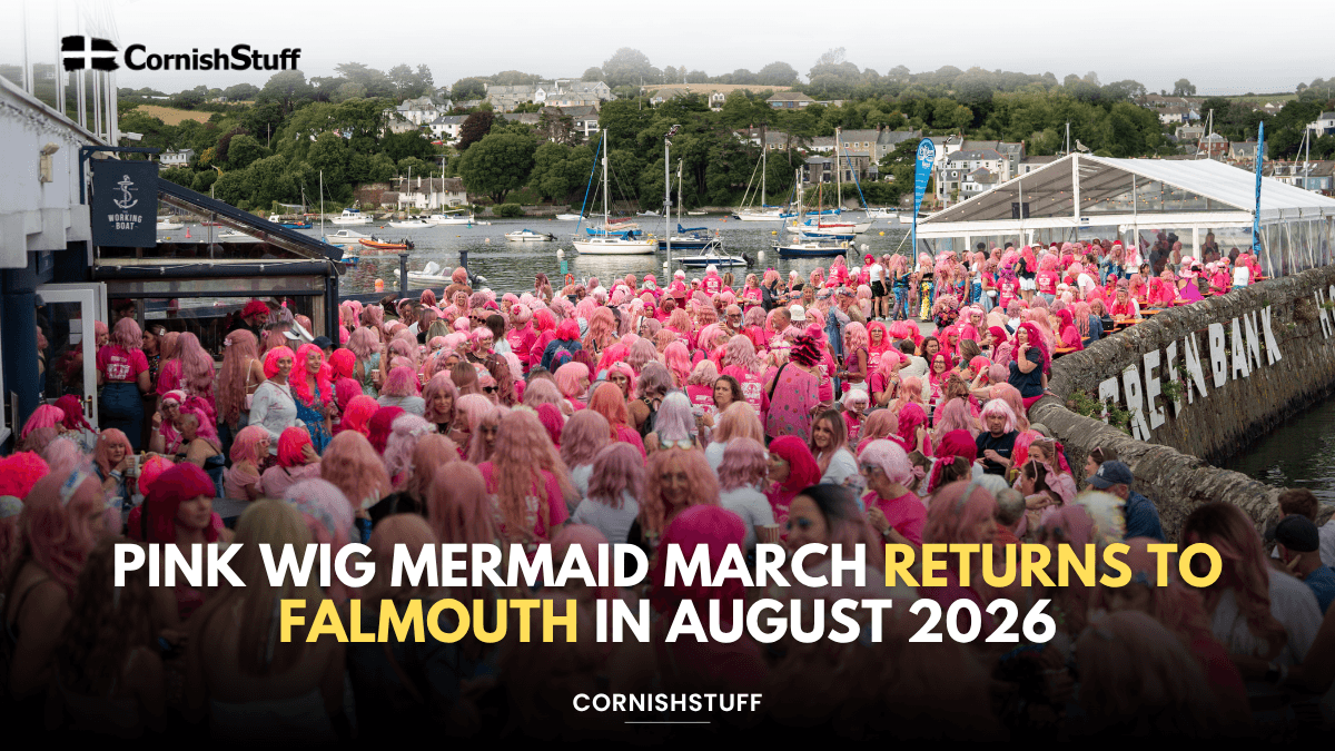 Pink Wig Mermaid March Returns To Falmouth In August 2026 CornishStuff pink-wig-mermaid-march-returns-to-falmouth-in-august-2026-cornishstuff