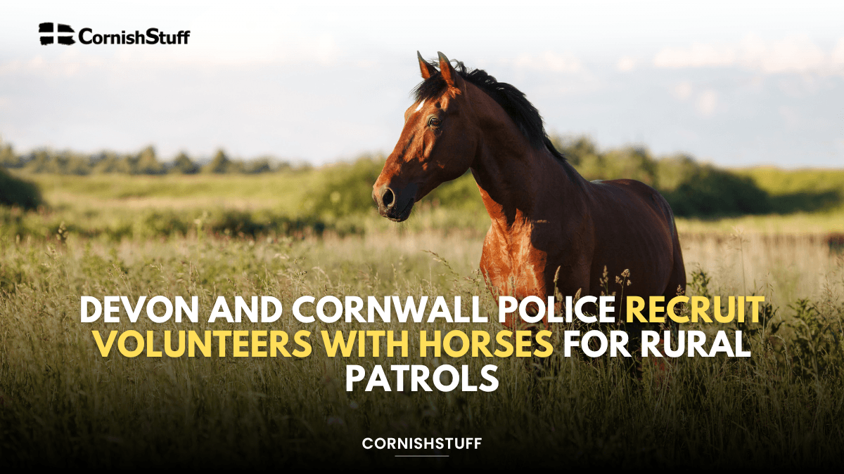 Devon and Cornwall Police Recruit Volunteers With Horses for Rural ...