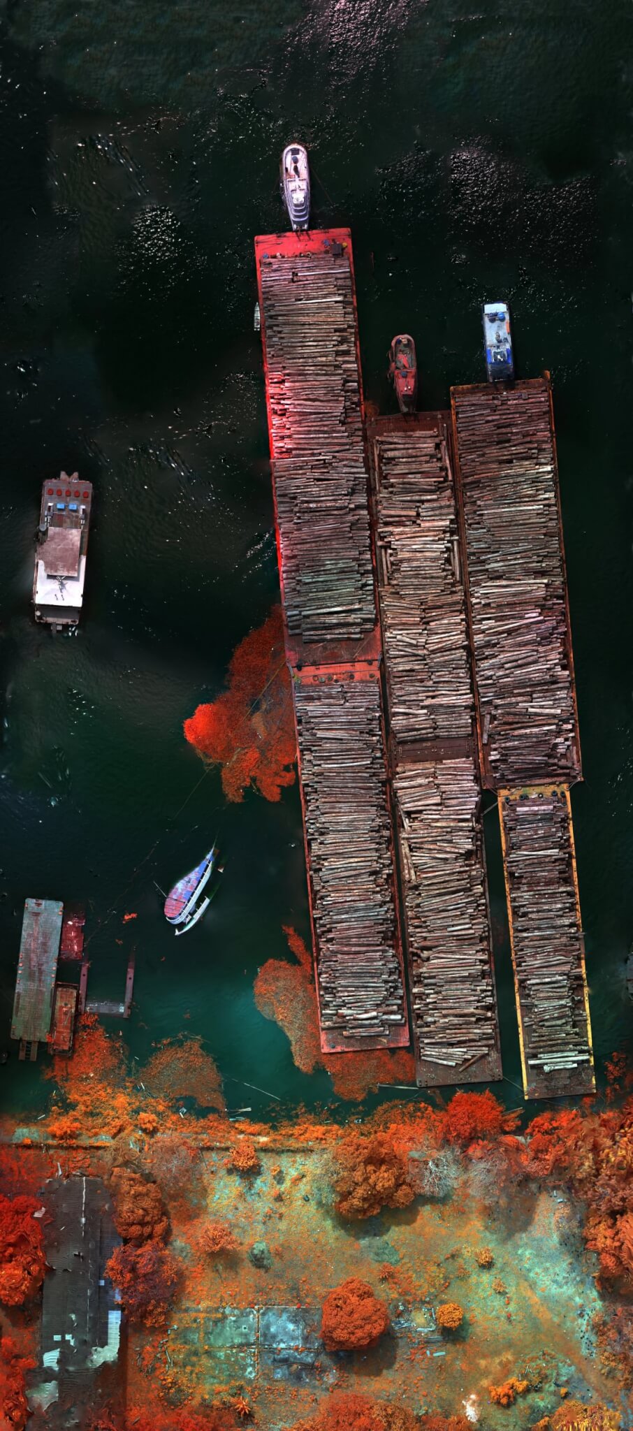 Aerial infrared image by Richard Mosse of log barges on dark water, surrounded by rust-red vegetation