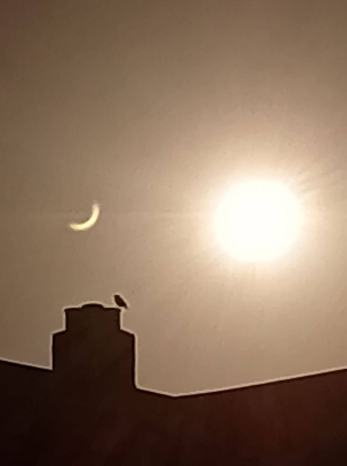 Partial solar eclipse over Cornwall, photographed by Sharline Hall