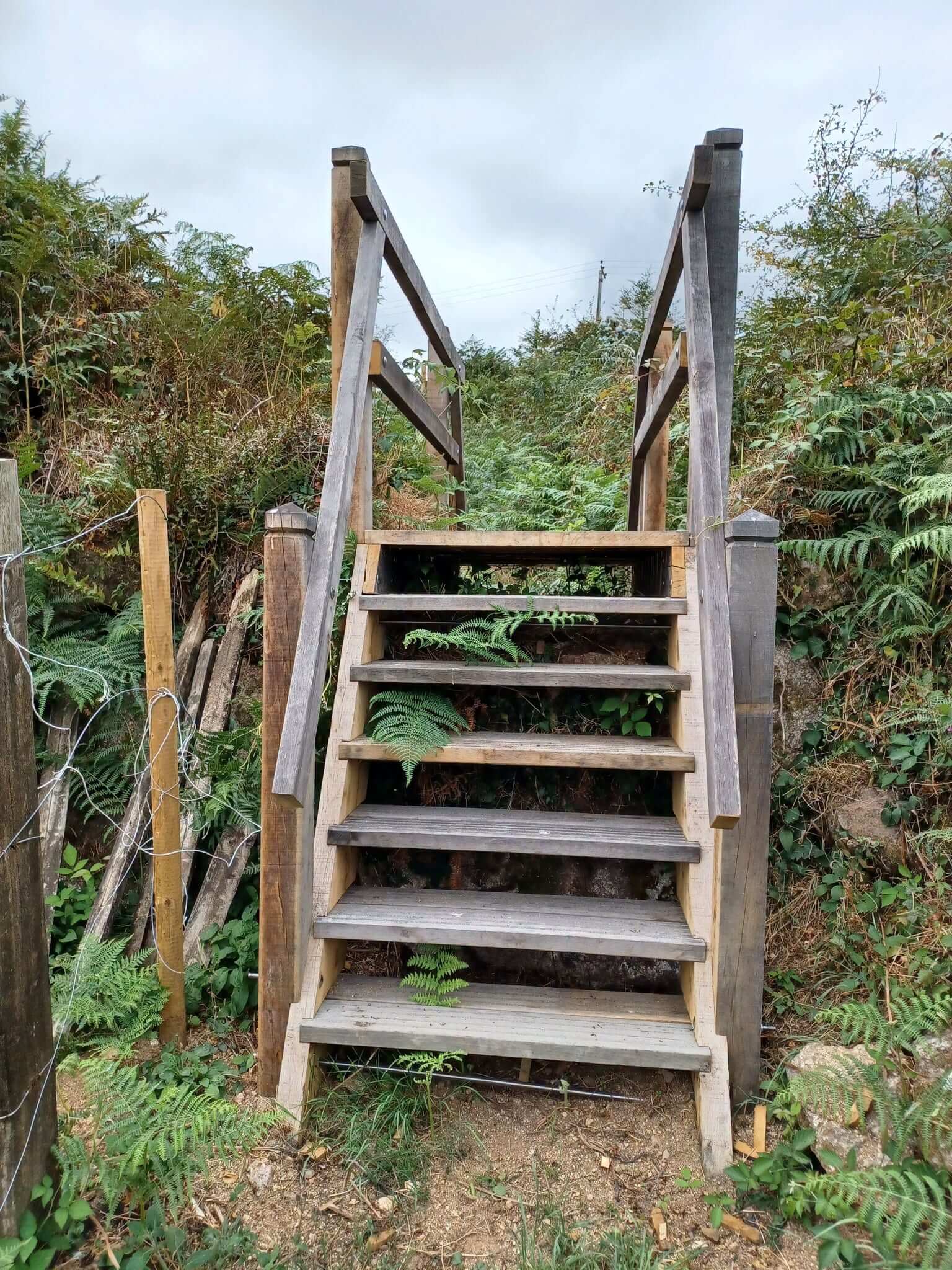 The new oak staircase stile at Higher Condurrow seen head-on