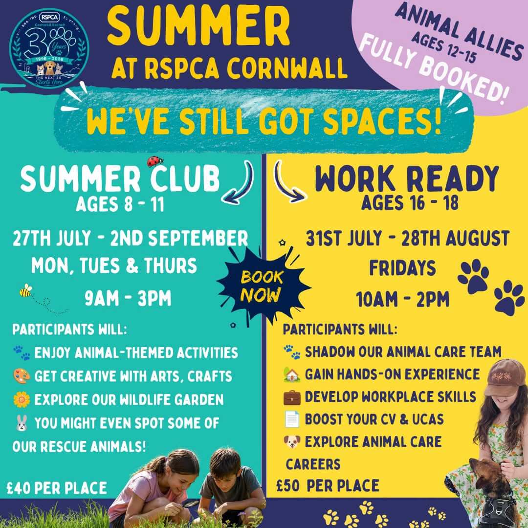 RSPCA Cornwall summer poster listing the Summer Club and Work Ready sessions