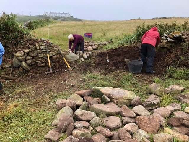 Volunteers repairing a dry stone wall at a Cornwall heritage site