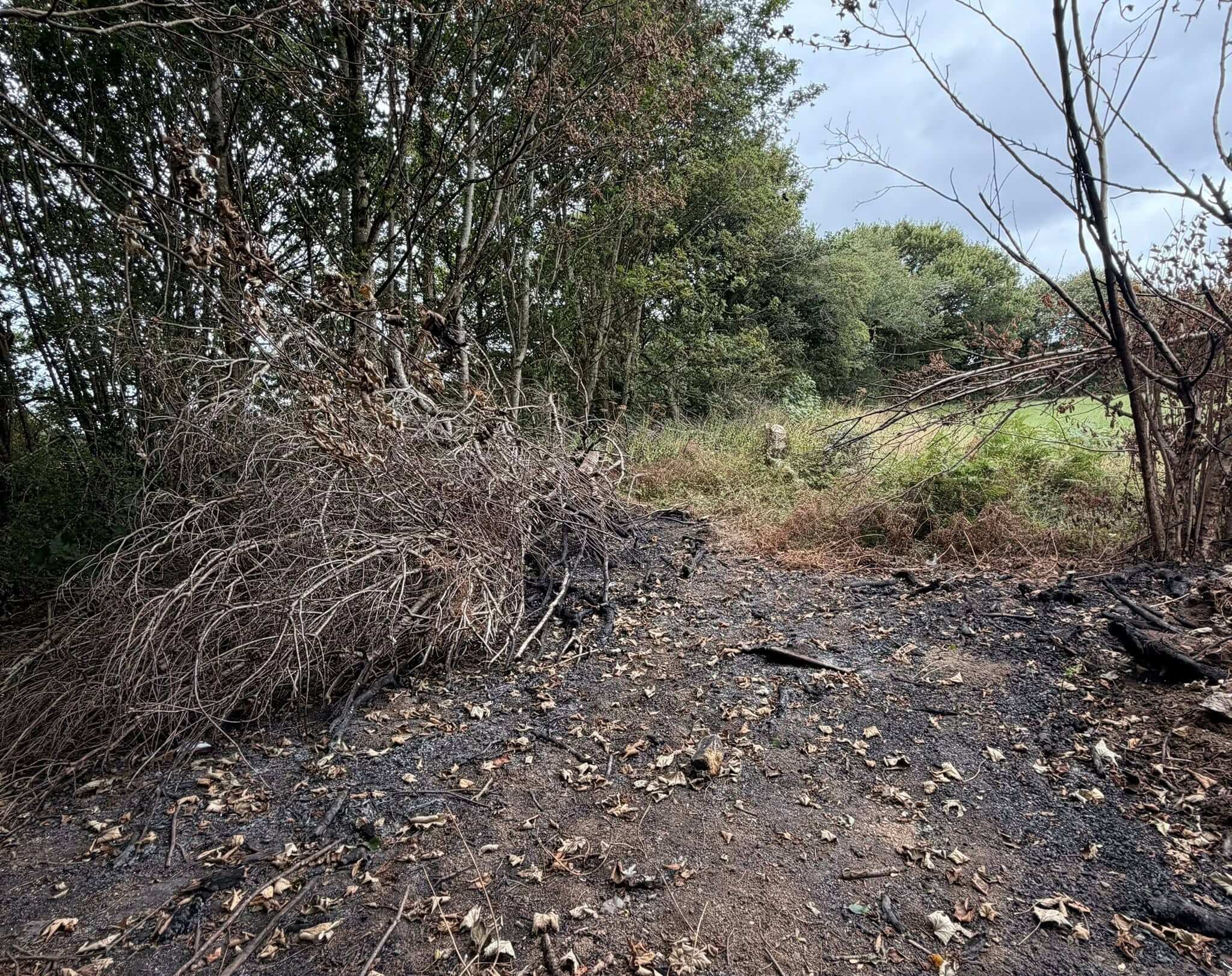 The full scene of fire damage on land behind Tesco in Callington