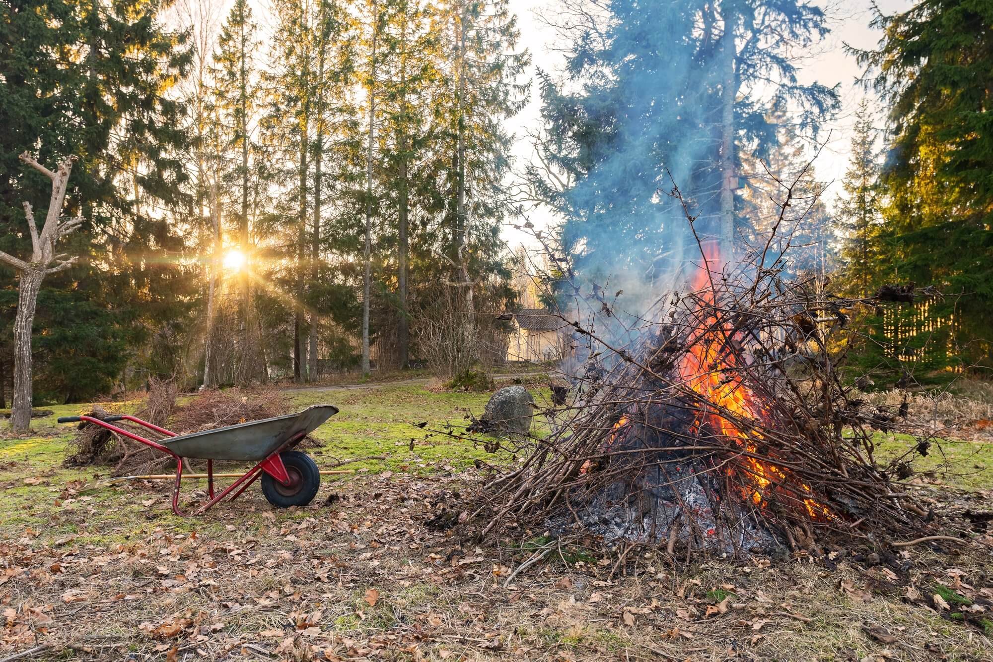 Branches burning on a garden bonfire next to a red wheelbarrow as the sun sets through the trees