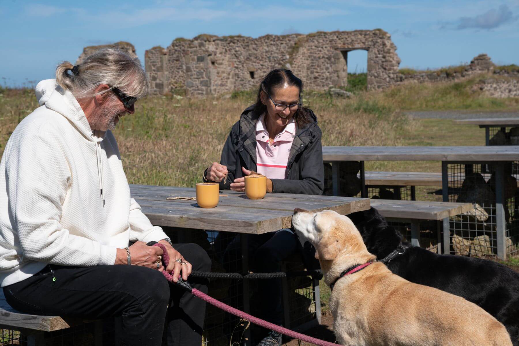 Visitors and dogs enjoying a coffee stop at Botallack
