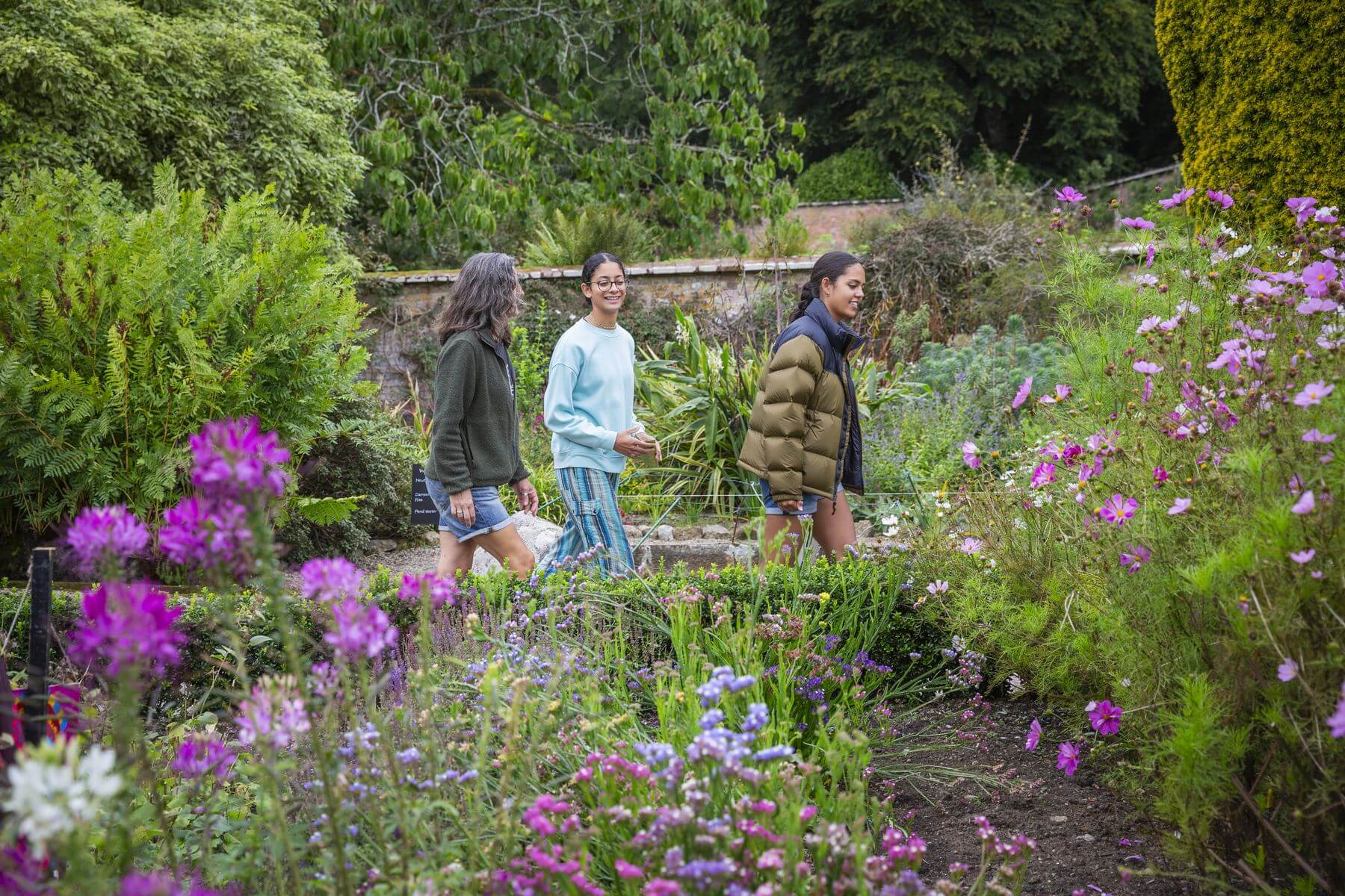Exploring Trengwainton garden in summer